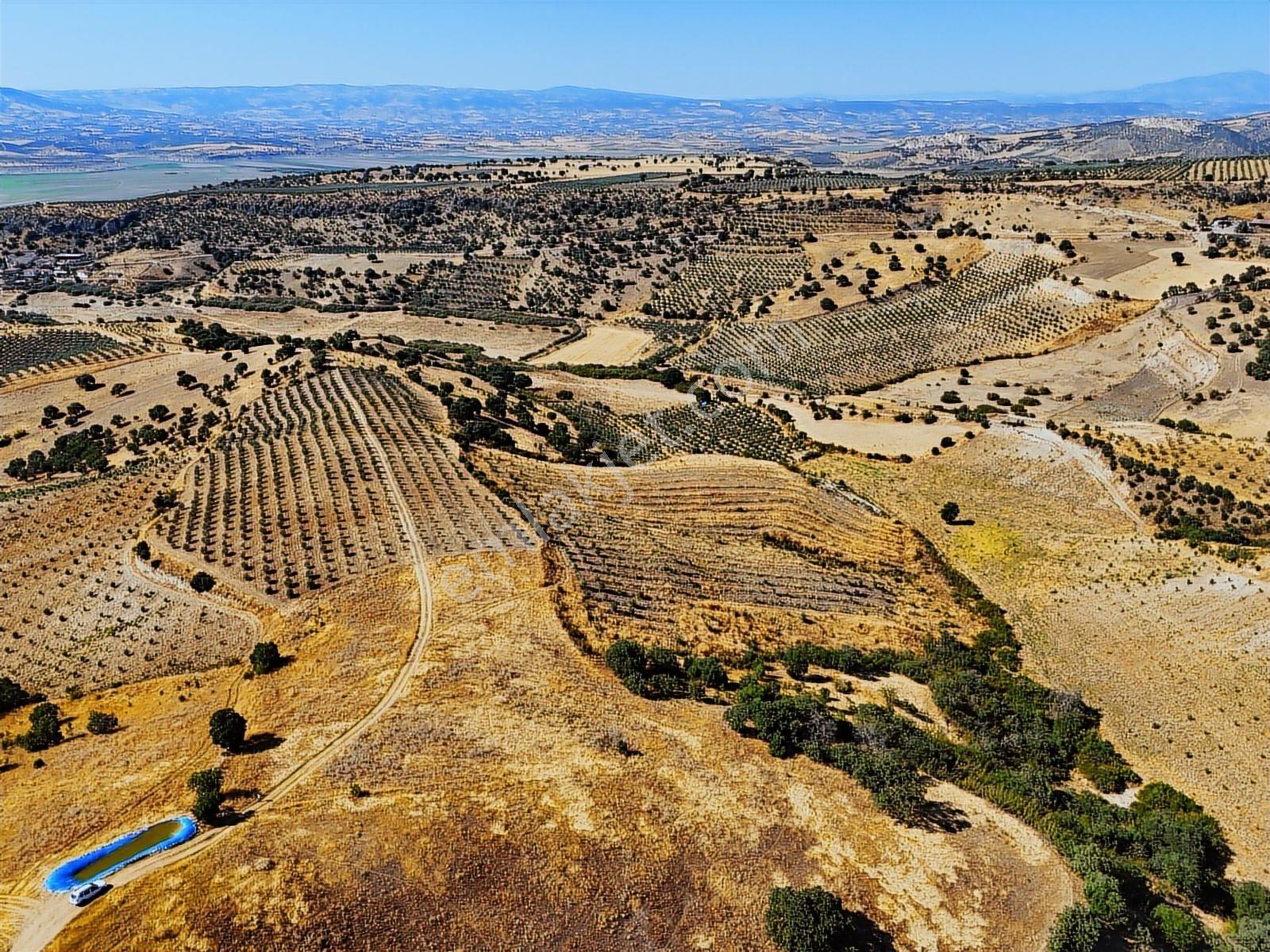 Salihli Hacıköseli'de Satılık 13690 M2 Tarla (video) - Görsel 19