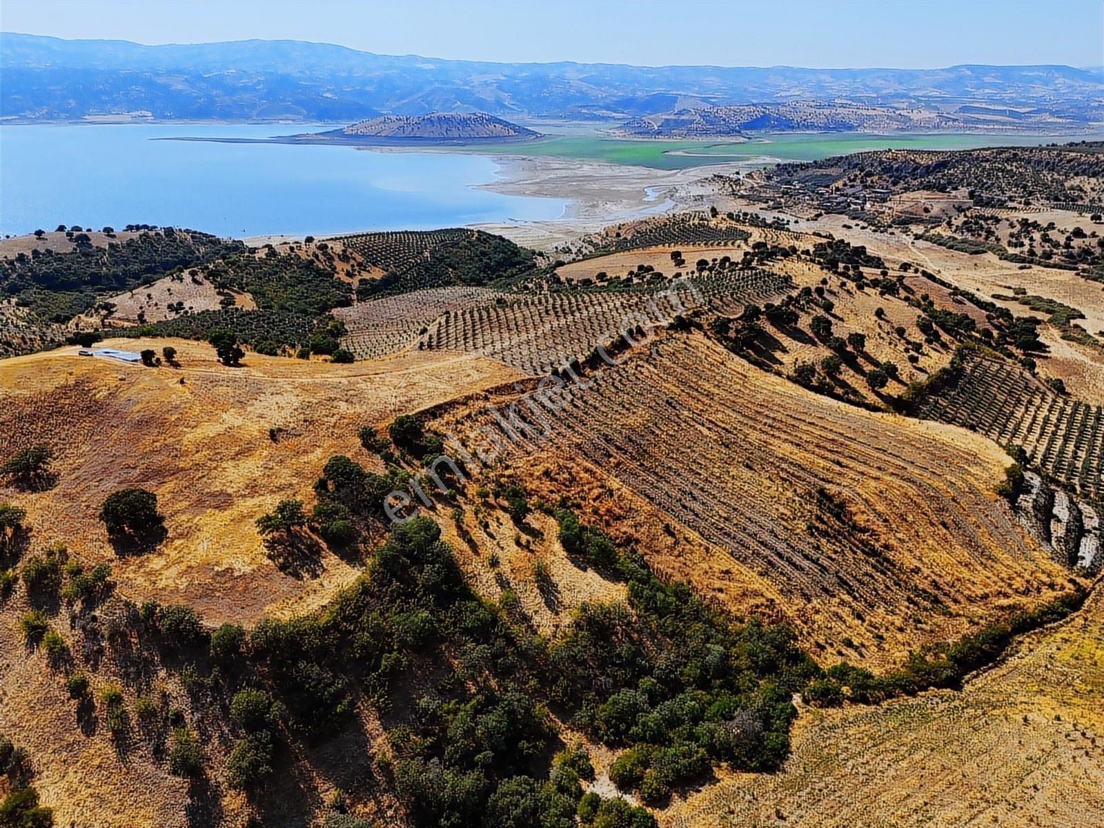 Salihli Hacıköseli'de Satılık 13690 M2 Tarla (video) - Görsel 12