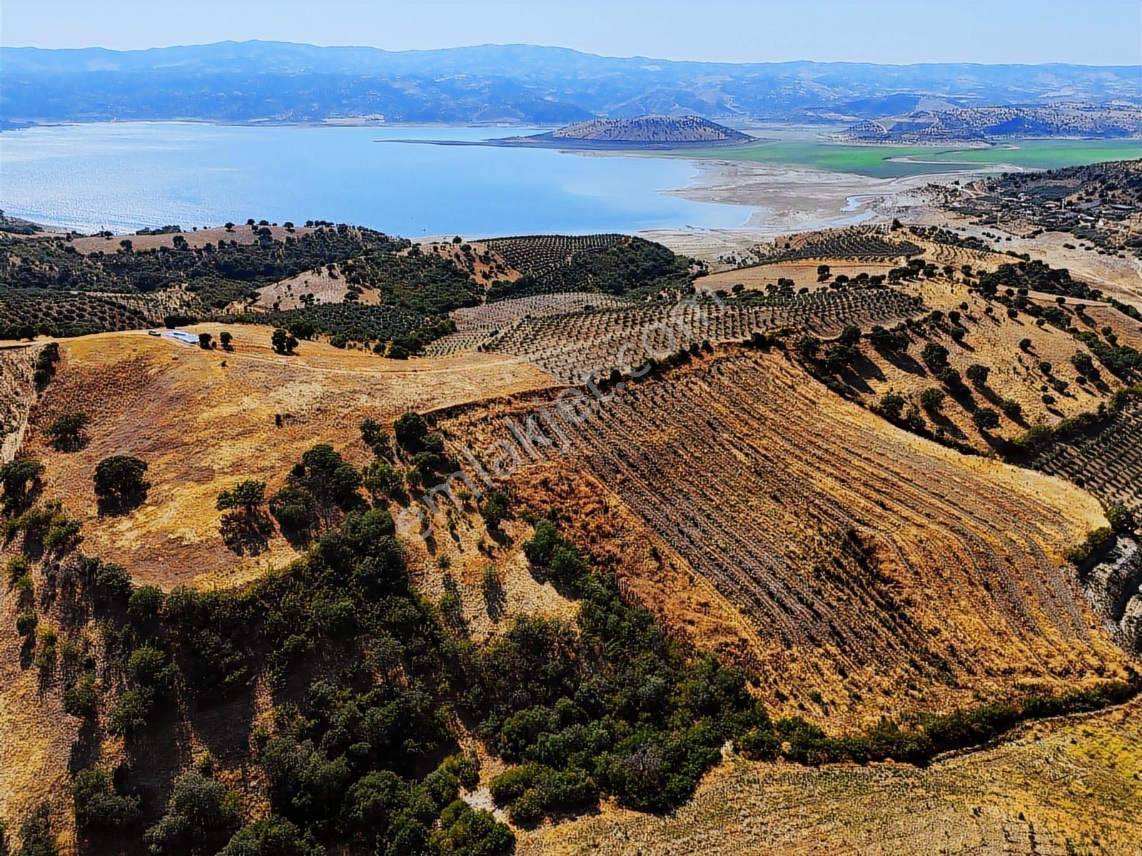 Salihli Hacıköseli'de Satılık 13690 M2 Tarla (video) - Görsel 13