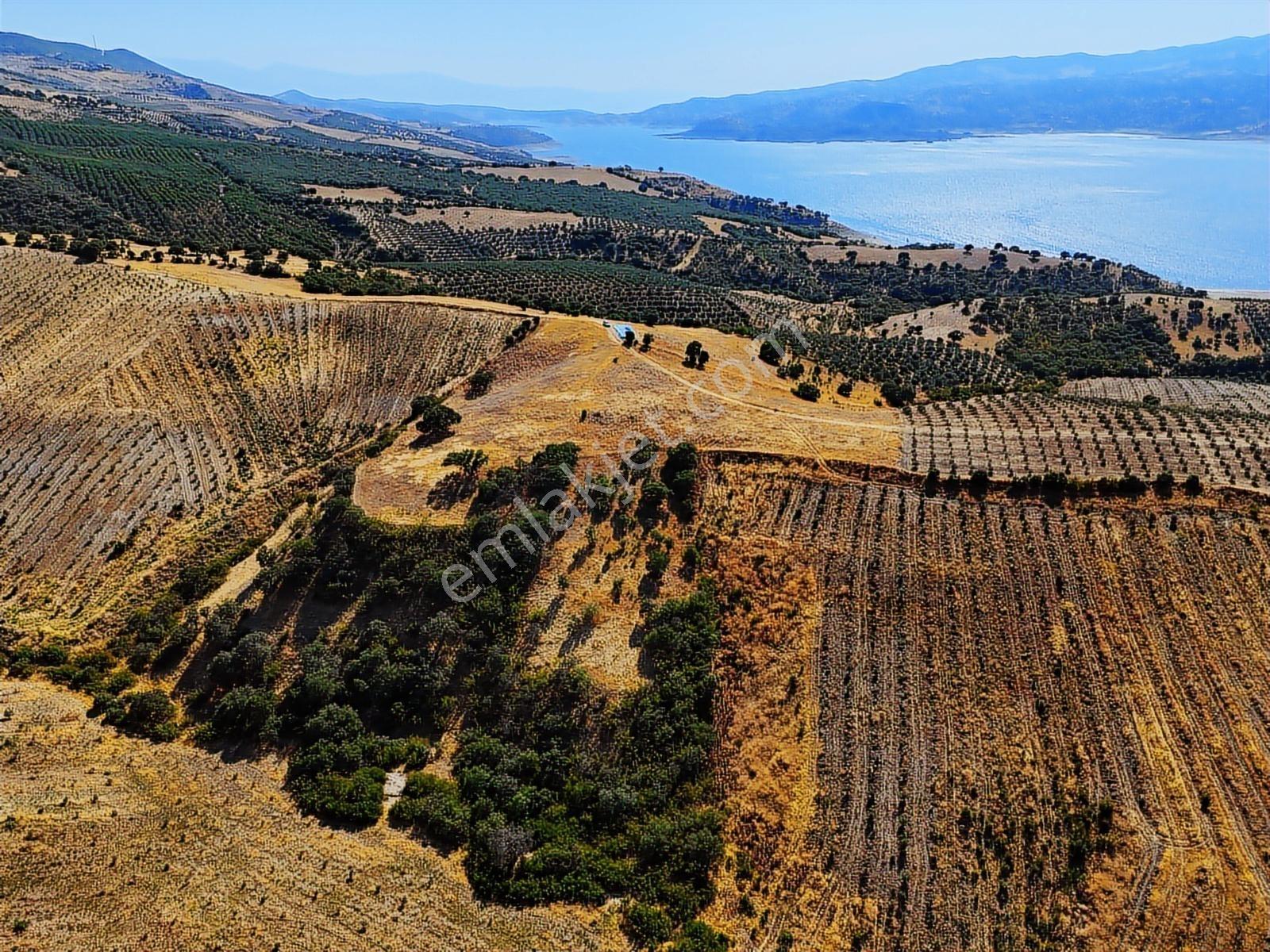 Salihli Hacıköseli'de Satılık 13690 M2 Tarla (video) - Görsel 6