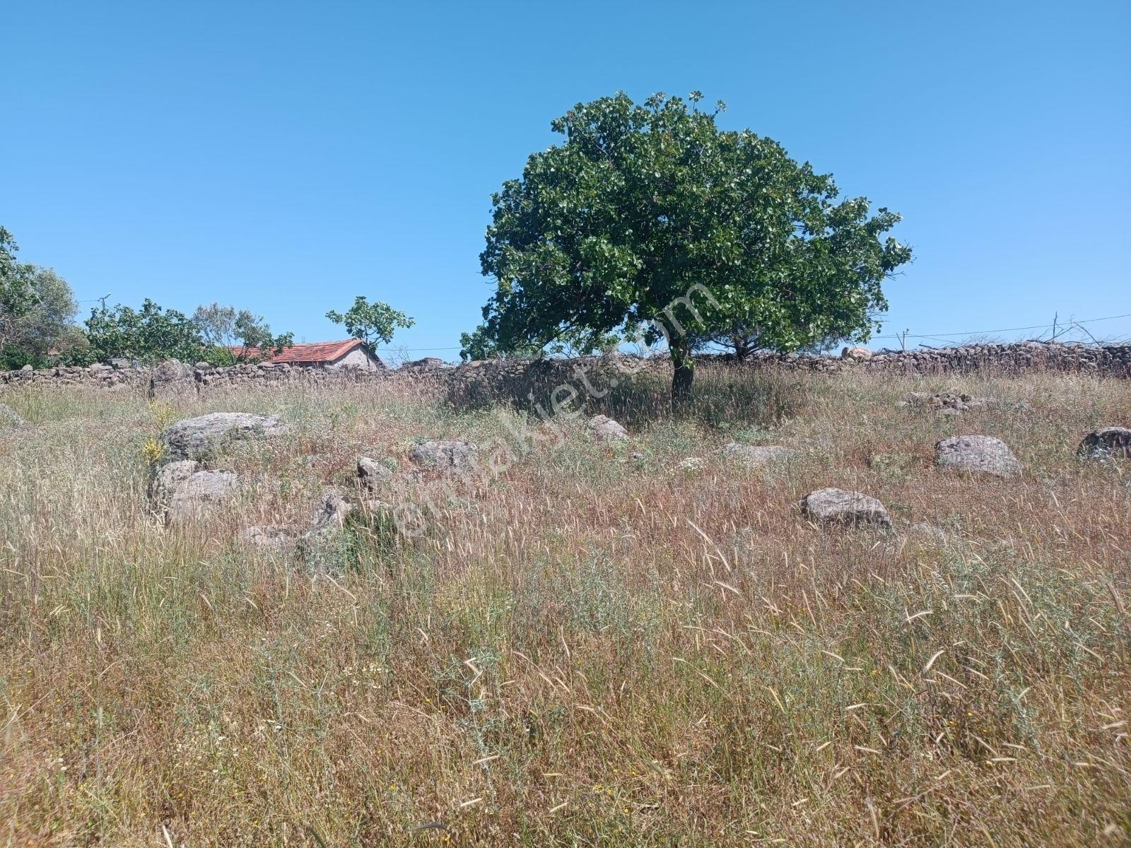 Akif Emlaktan Küçükbelen Mah. Beklenen 1.177 M² Arsa Satışta - Görsel 10
