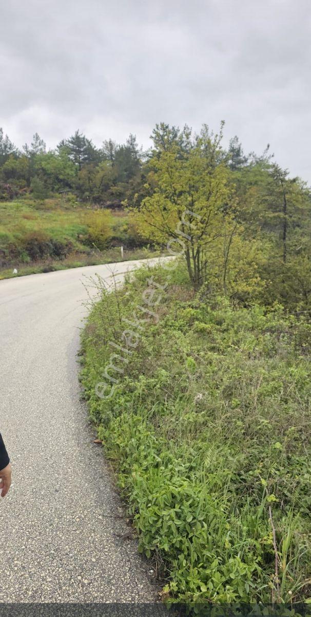 Bilecik Merkez Erkoca'da 2 Dönüm Asfalt Cepheli Fırsat Arazi! - Görsel 13
