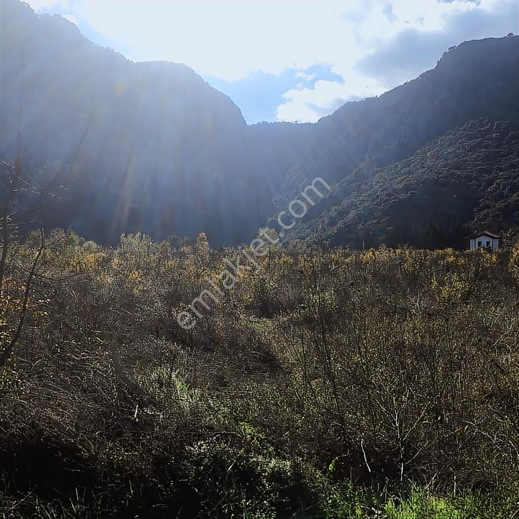 Muğla Dalyan Marmarlı'da İmara Sınır Satılık Yatırımlık Arazi - Görsel 8