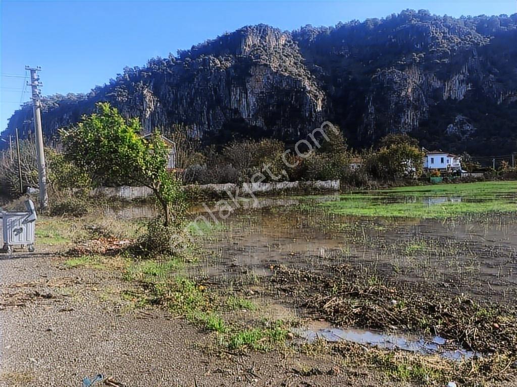 Muğla Dalyan Marmarlı'da İmara Sınır Satılık Yatırımlık Arazi - Görsel 20