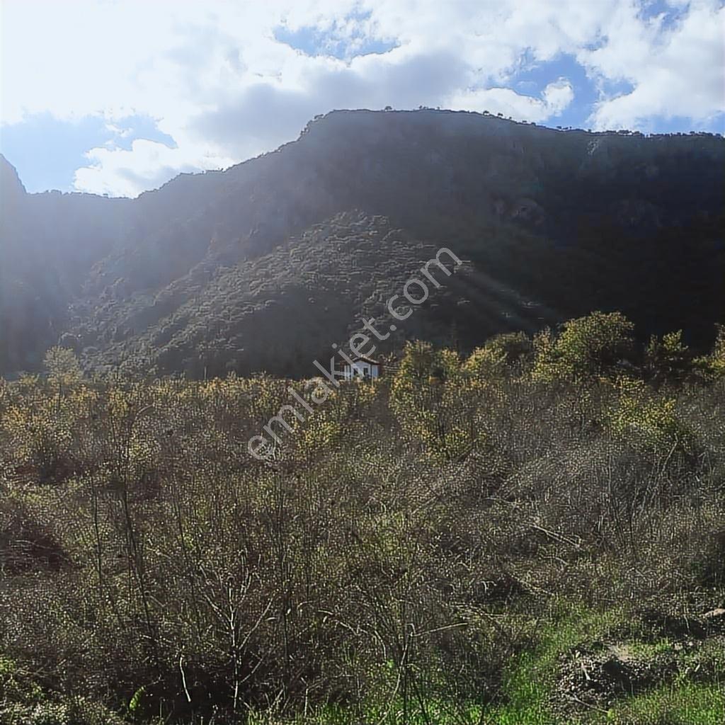 Muğla Dalyan Marmarlı'da İmara Sınır Satılık Yatırımlık Arazi - Görsel 13