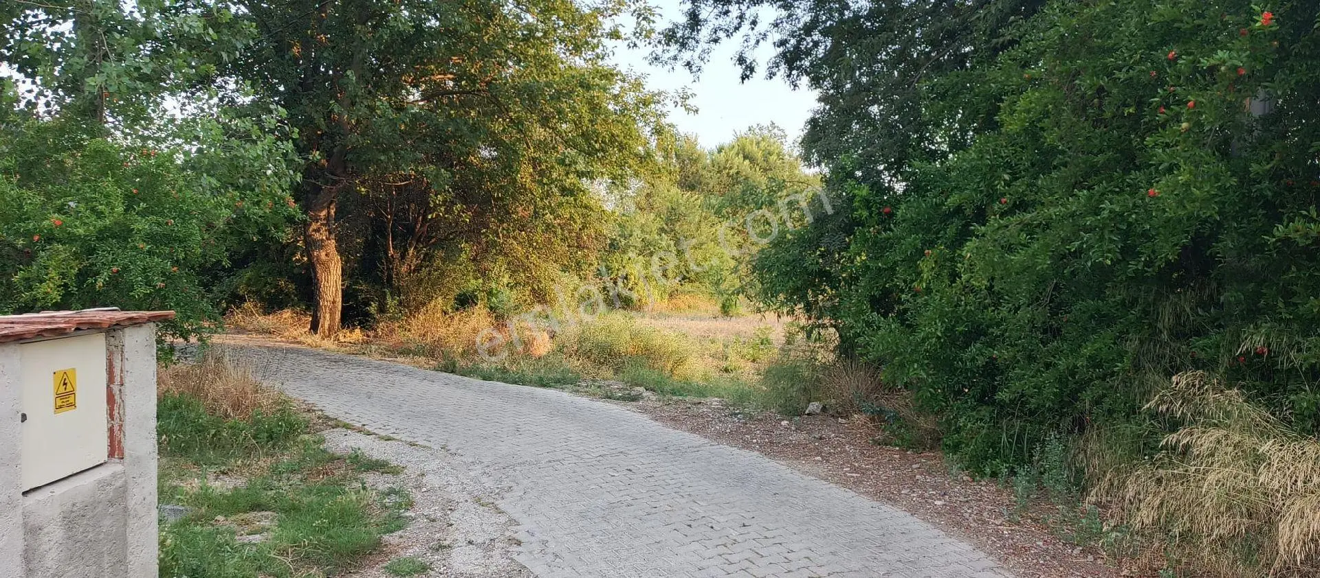 Muğla Köyceğiz Yangı Mh De Yatırımlık Tarla - Görsel 5