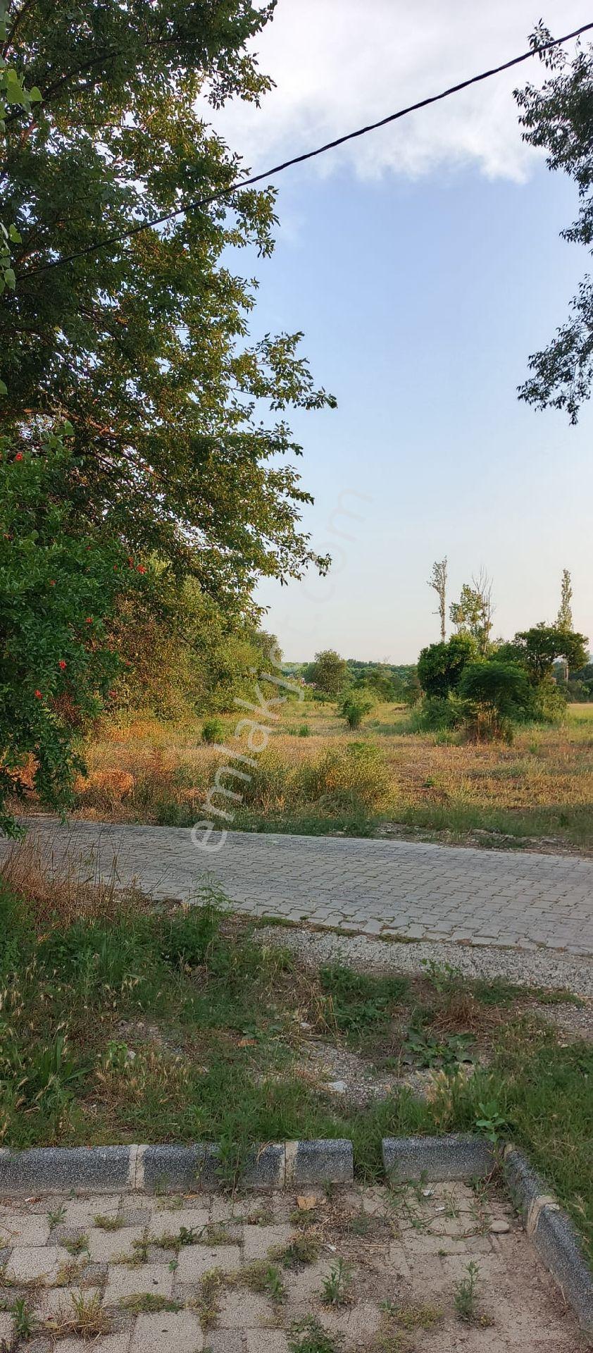 Muğla Köyceğiz Yangı Mh De Yatırımlık Tarla - Görsel 4