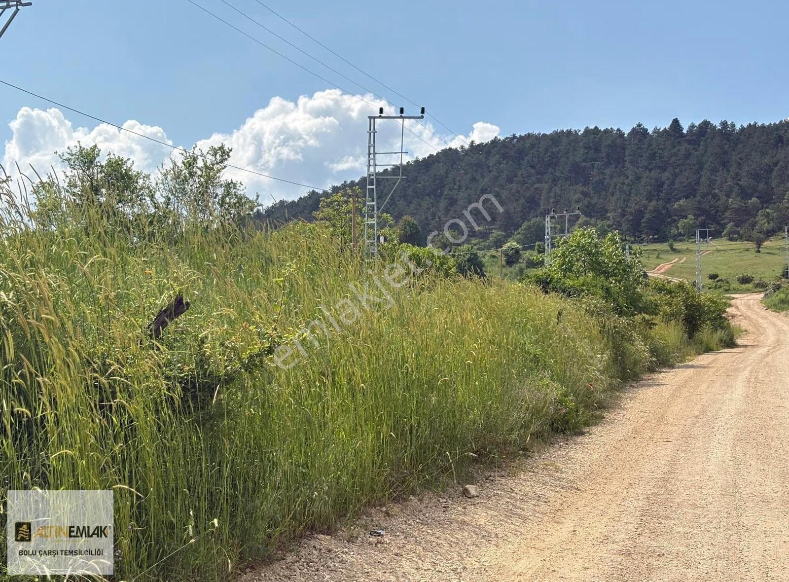 Altın Emlak Bolu Çarşı Temsilciliği Ağaççılar 1.000 M2 - Görsel 5