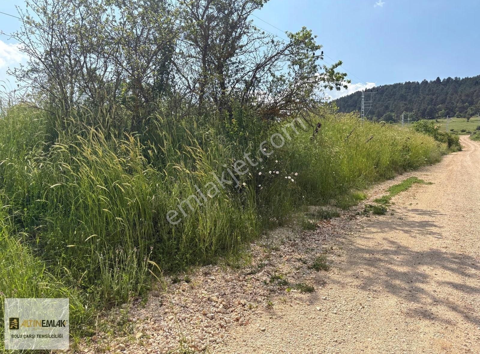 Altın Emlak Bolu Çarşı Temsilciliği Ağaççılar 1.000 M2 - Görsel 7