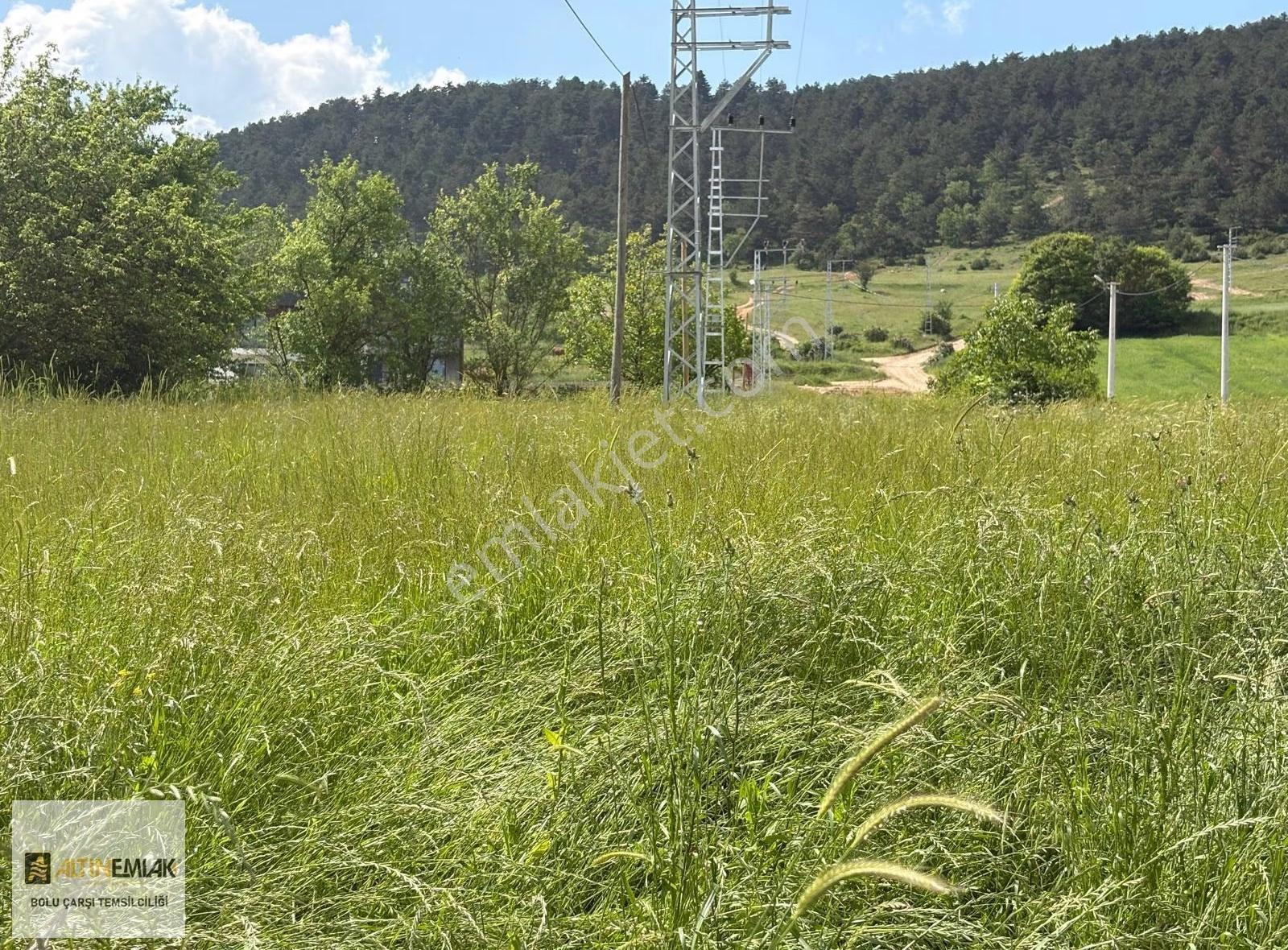 Altın Emlak Bolu Çarşı Temsilciliği Ağaççılar 1.000 M2 - Görsel 8