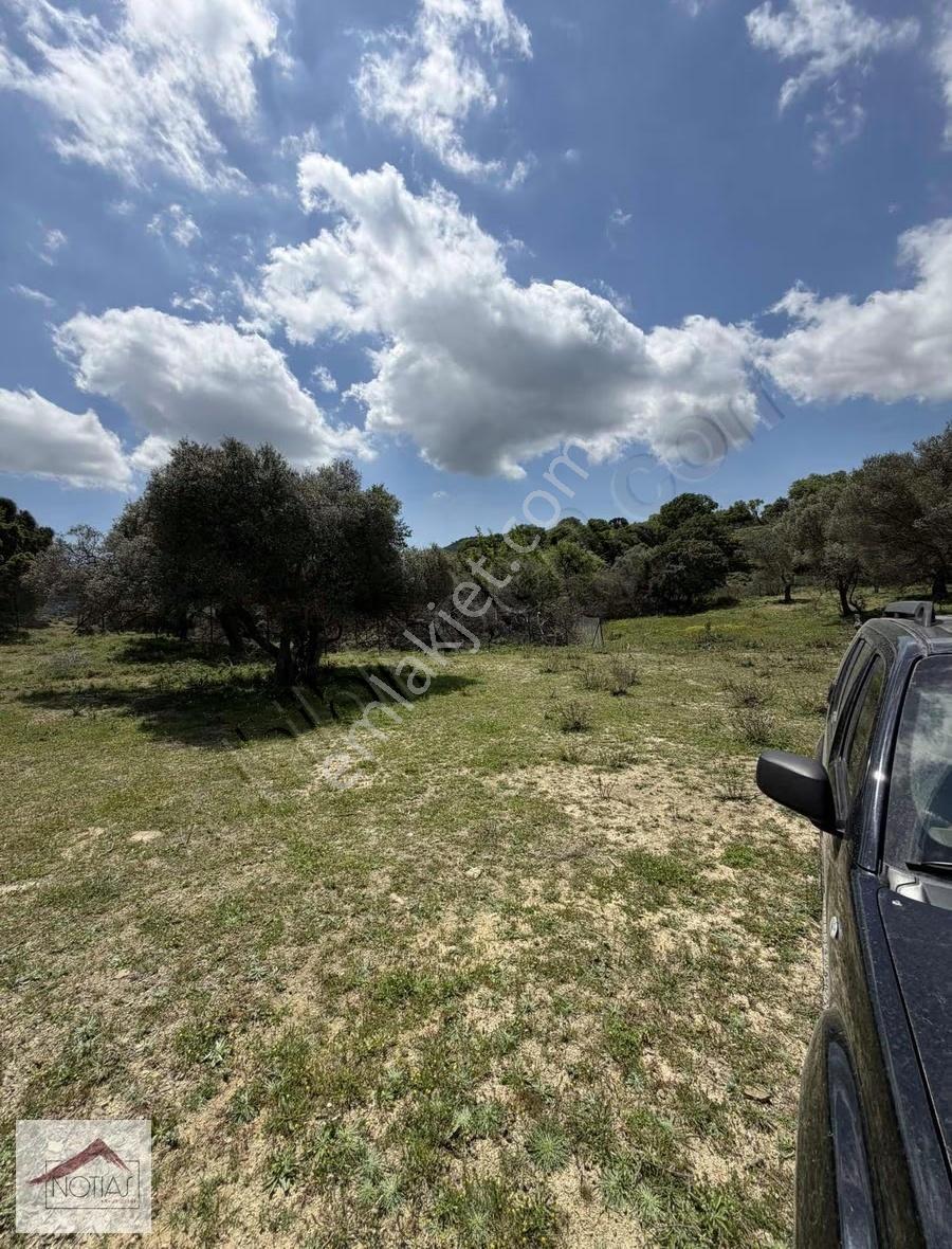 Notıas Real Estate Gayrimenkul'den 7.189 M2 Zeytinlik İki Tapu - Görsel 20
