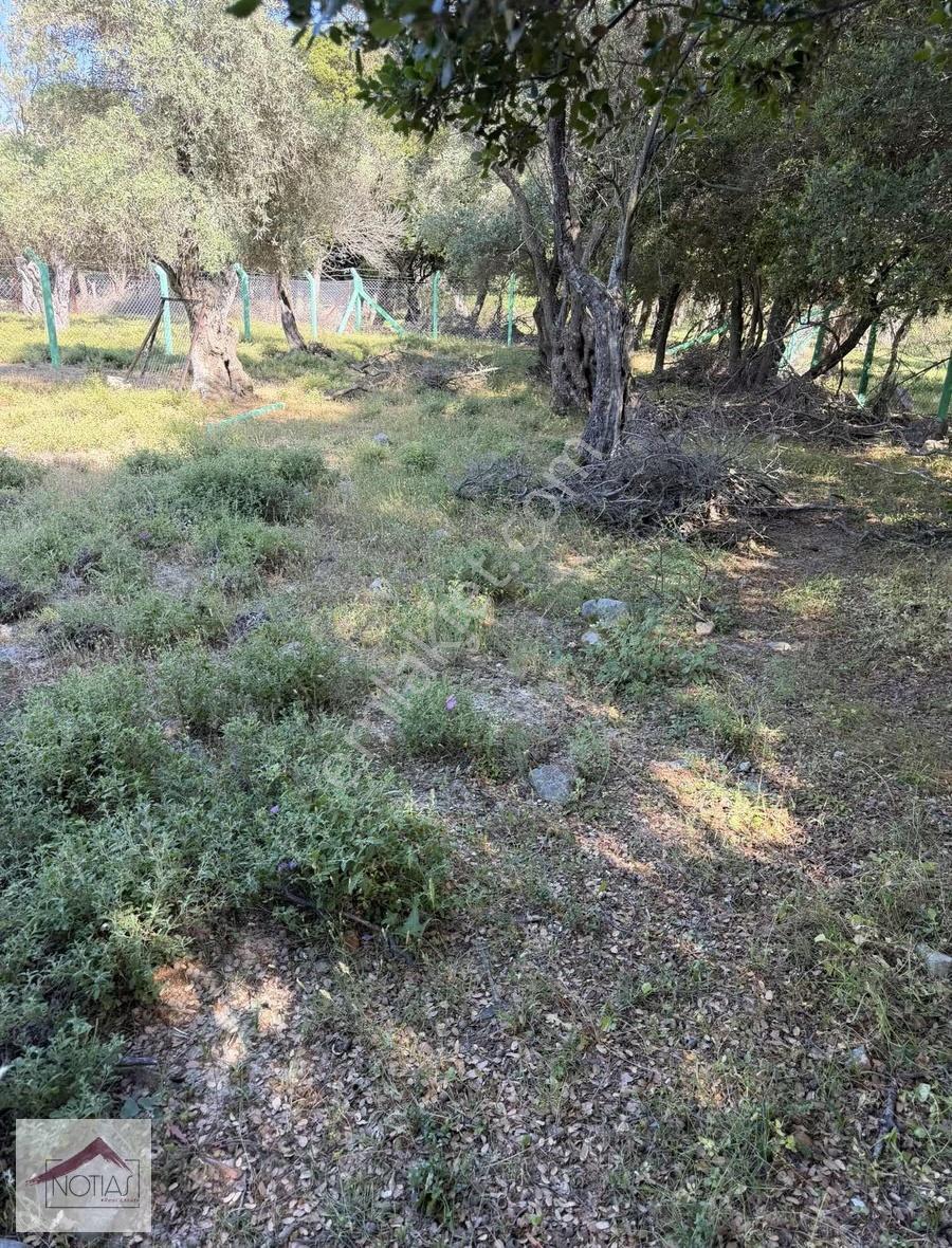 Notıas Real Estate Gayrimenkul'den 347 M2 Karavan Yaşamına Uygun - Görsel 16