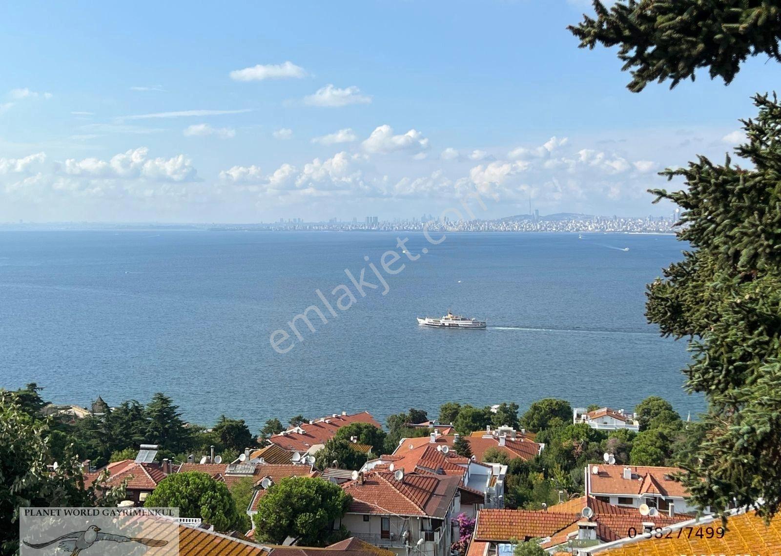 Planet'ten Doğa İçinde Deniz Manzaralı Havuzlu Büyük Malikane Hotel - Görsel 18