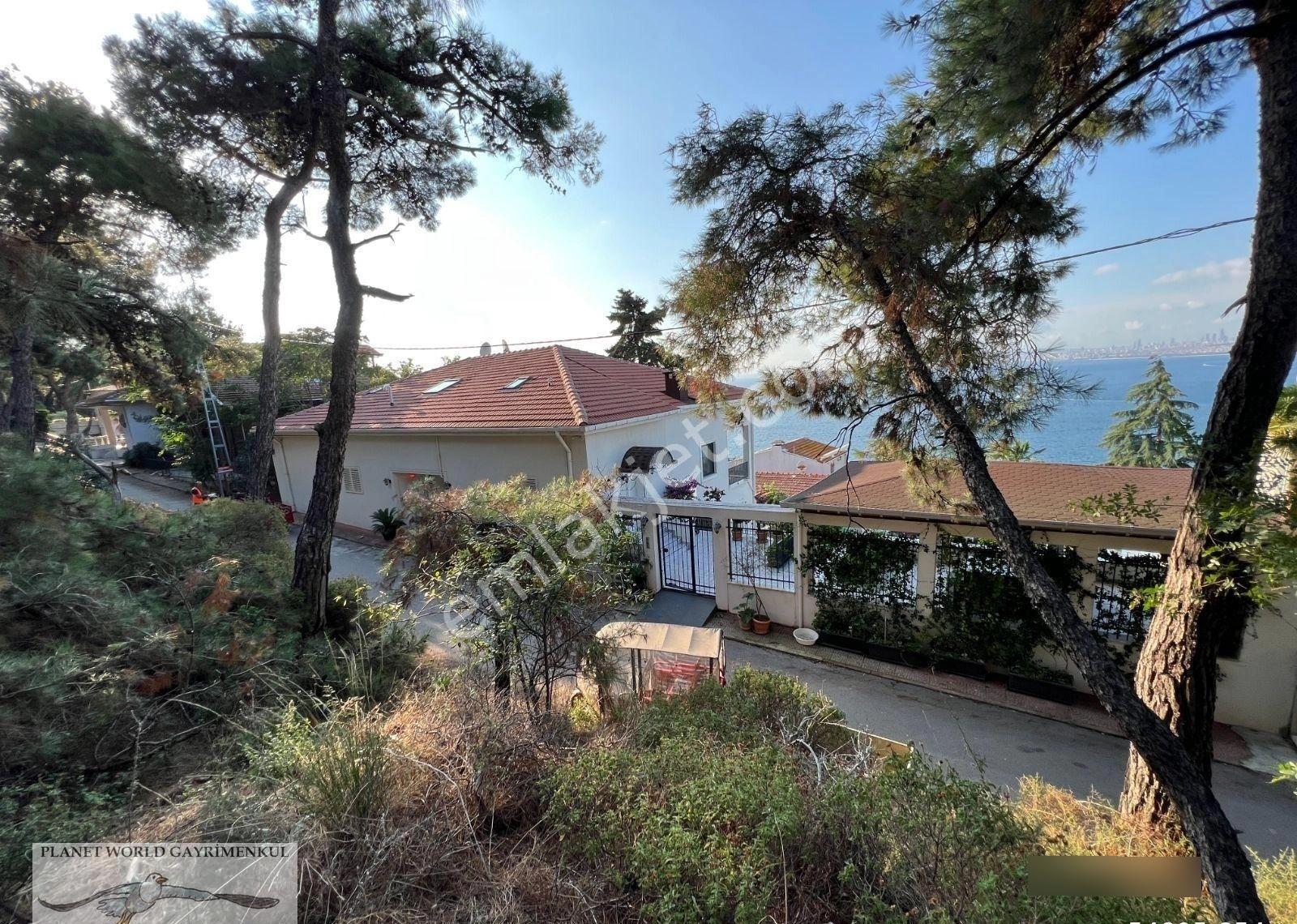 Planet'ten Doğa İçinde Deniz Manzaralı Havuzlu Büyük Malikane Hotel - Görsel 28