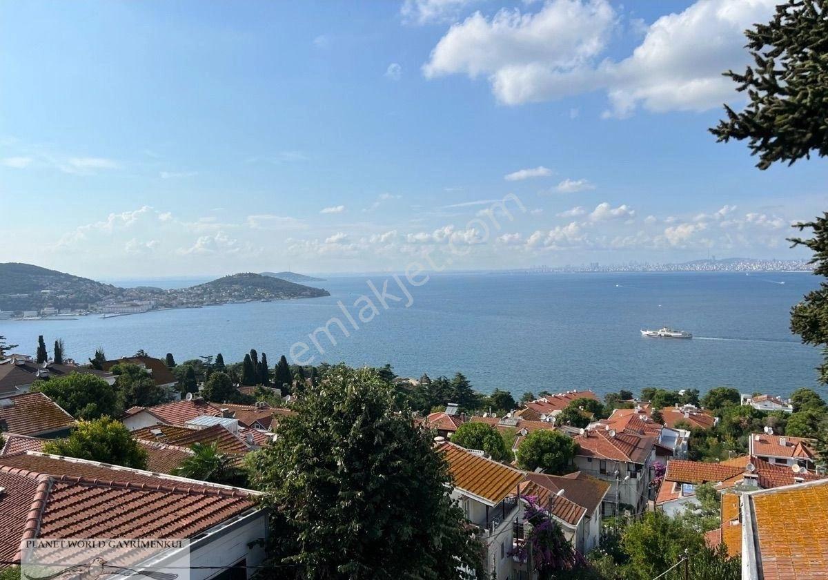 Planet'ten Doğa İçinde Deniz Manzaralı Havuzlu Büyük Malikane Hotel - Görsel 17