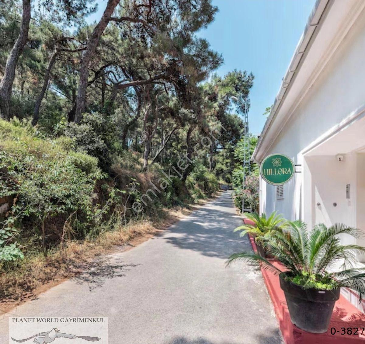 Planet'ten Doğa İçinde Deniz Manzaralı Havuzlu Büyük Malikane Hotel - Görsel 15