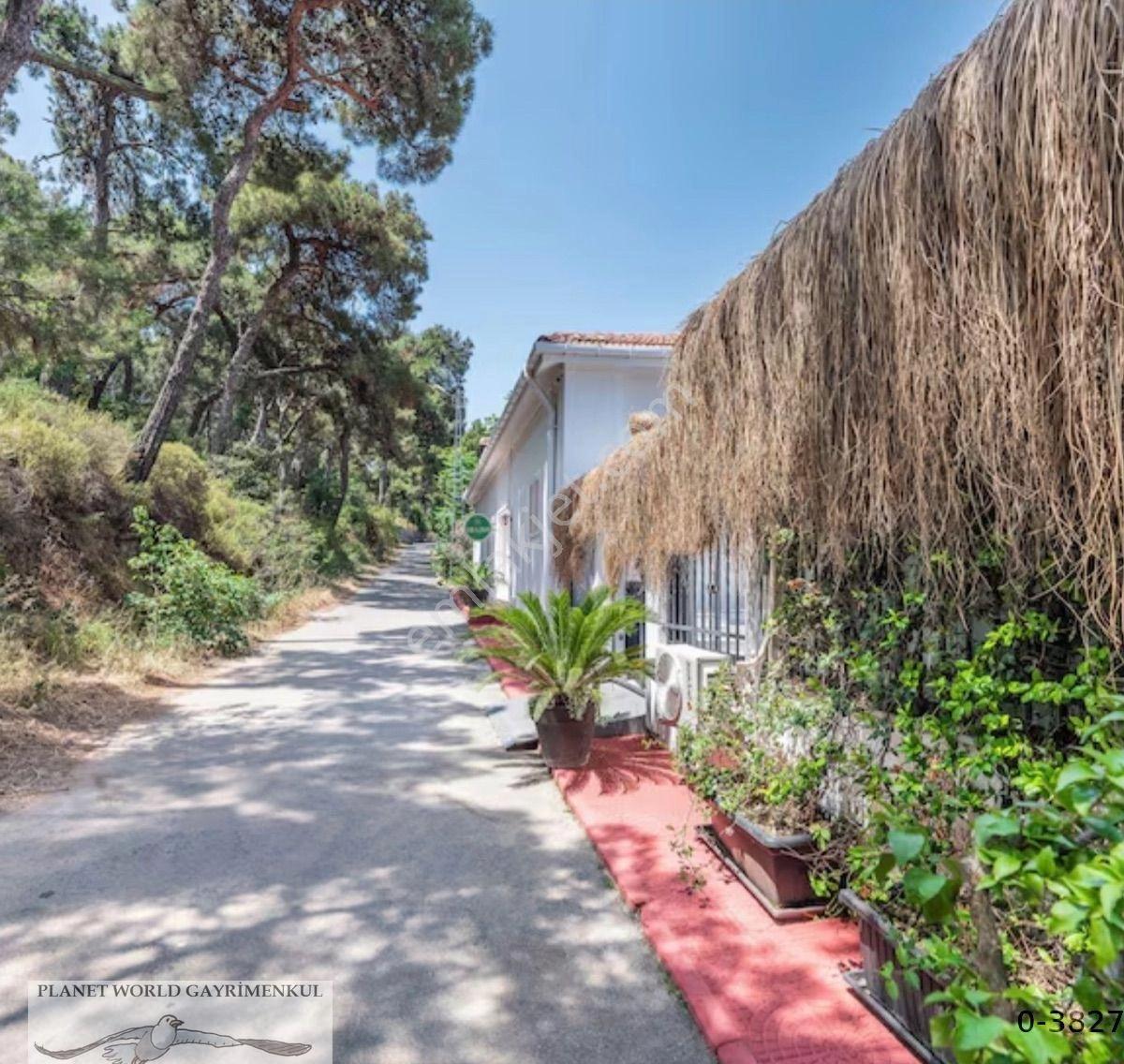 Planet'ten Doğa İçinde Deniz Manzaralı Havuzlu Büyük Malikane Hotel - Görsel 31