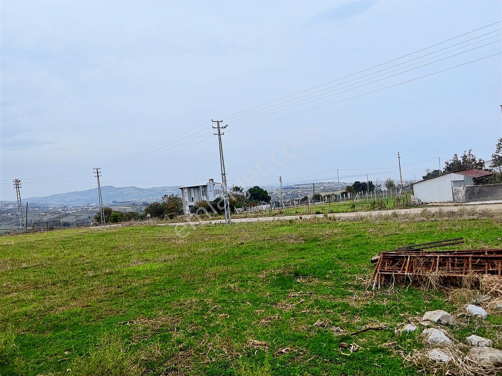 Çamlıcadan Çatalçamda Deniz Manzaralı Satılık Süper Arsa - Görsel 3