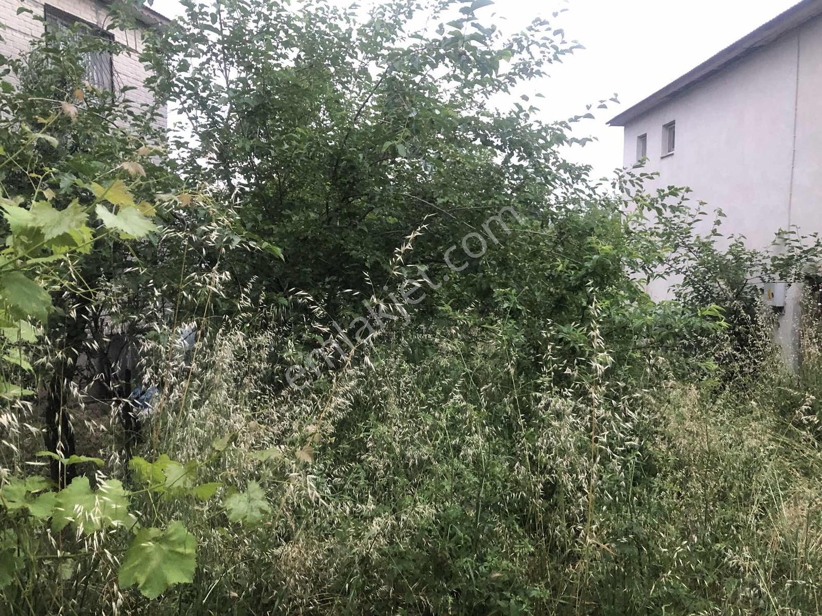 Anadolu Gayrimenkulden Göller Yolu Üzeri Acaryaylada - Görsel 19