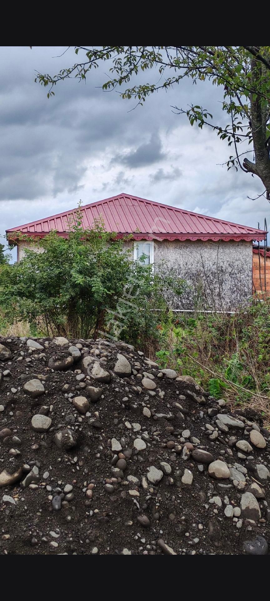 Samsun Terme Yenicami De Satilik Evli Fındık Bahcesıı - Görsel 4