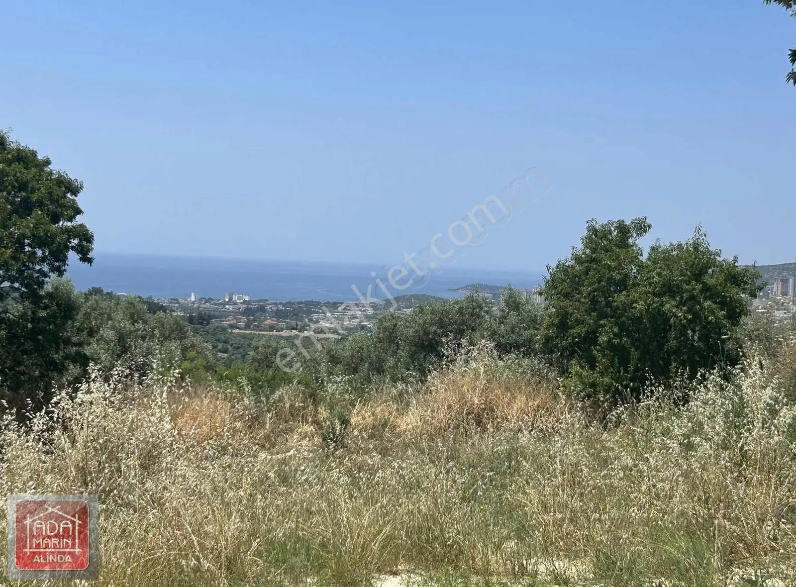 Kuşadası Kirazlıda Full Deniz Manzaralı Satılık Zeytinlik
