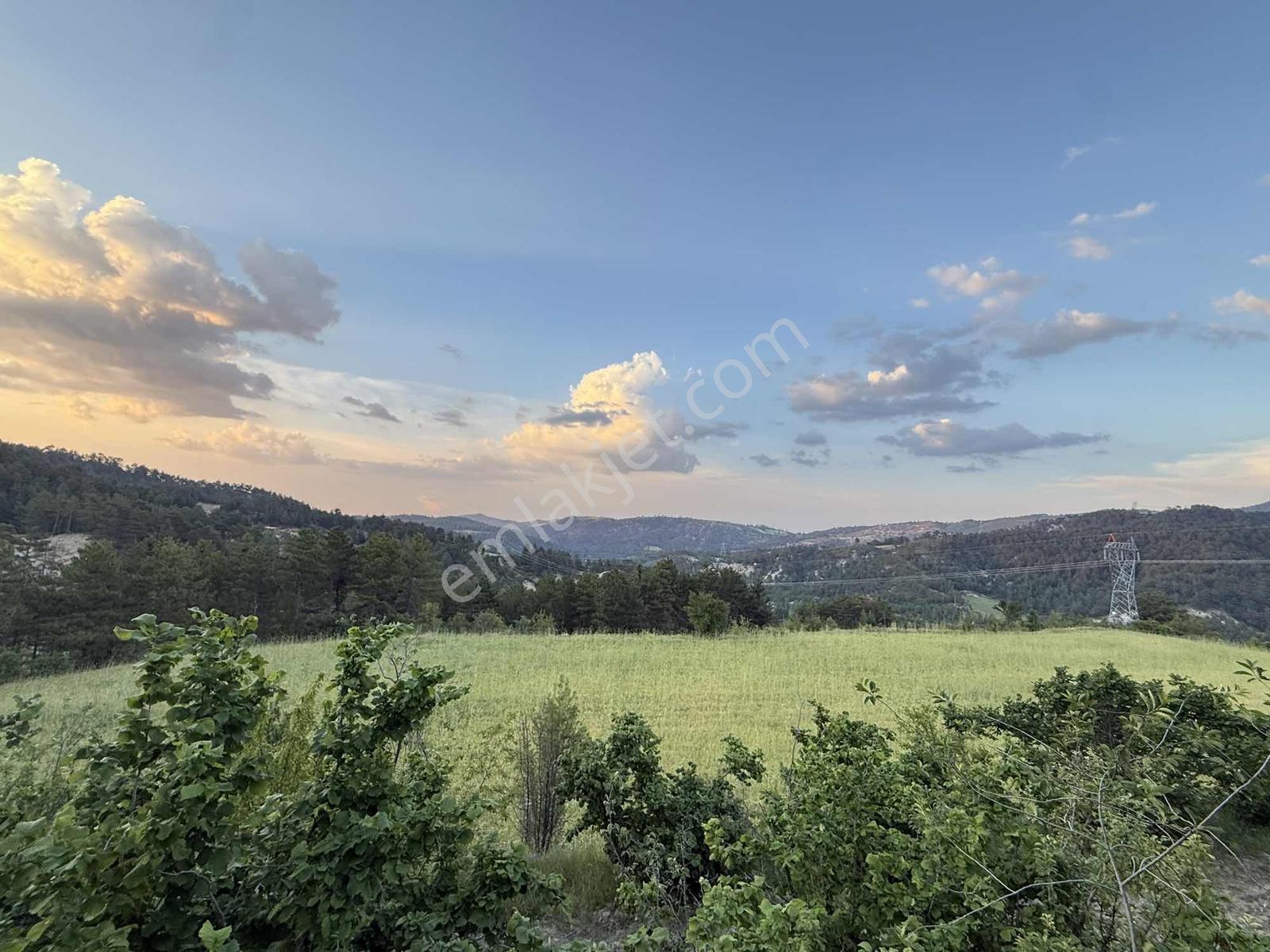 26.000 M2 İçersinde Ceviz Ve Çam Ağaçları Olan Arazi - Görsel 12