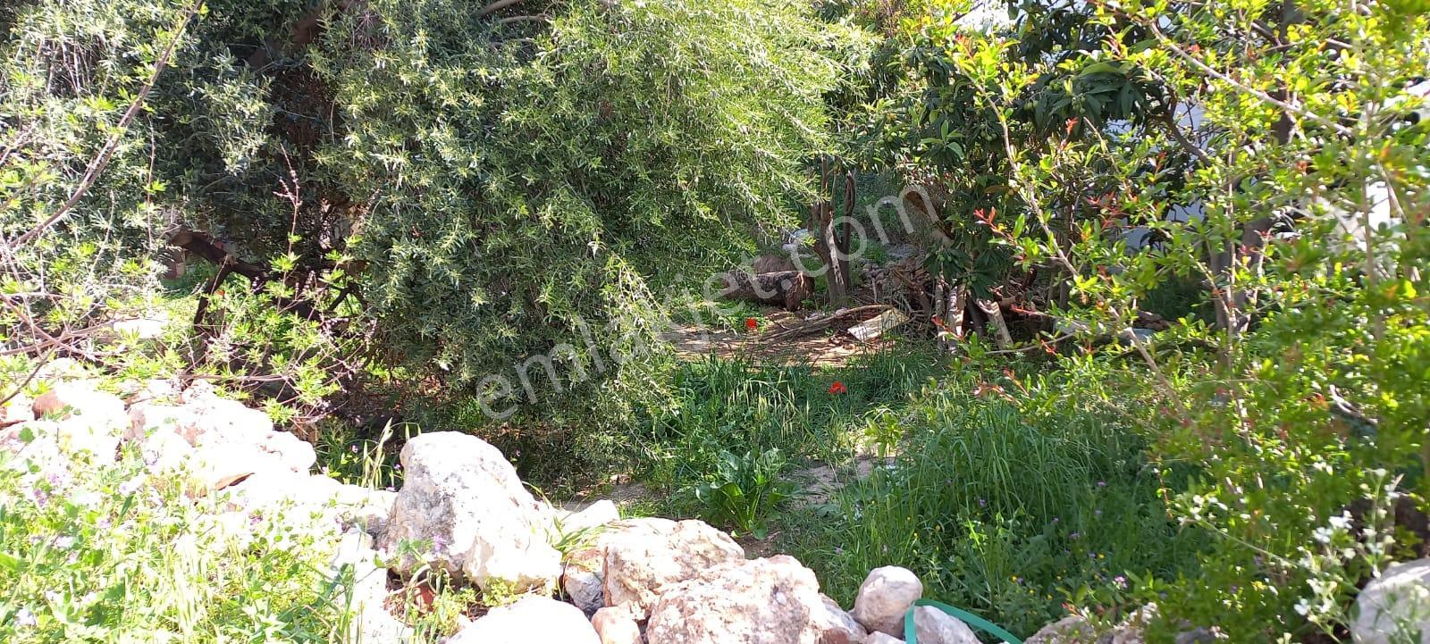 Aydıncık Merkezde Tadilat Gerektiren Taş Ev - Görsel 7