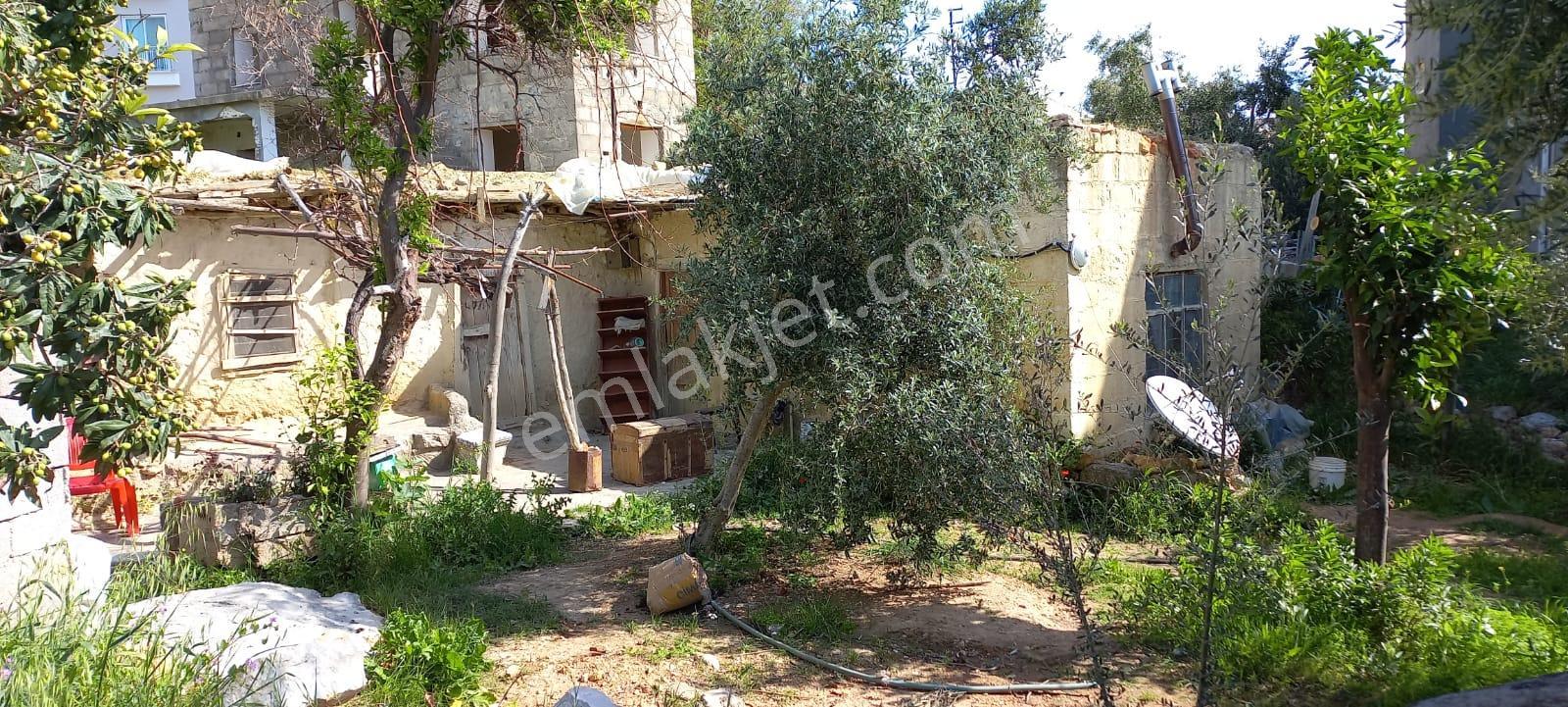 Aydıncık Merkezde Tadilat Gerektiren Taş Ev