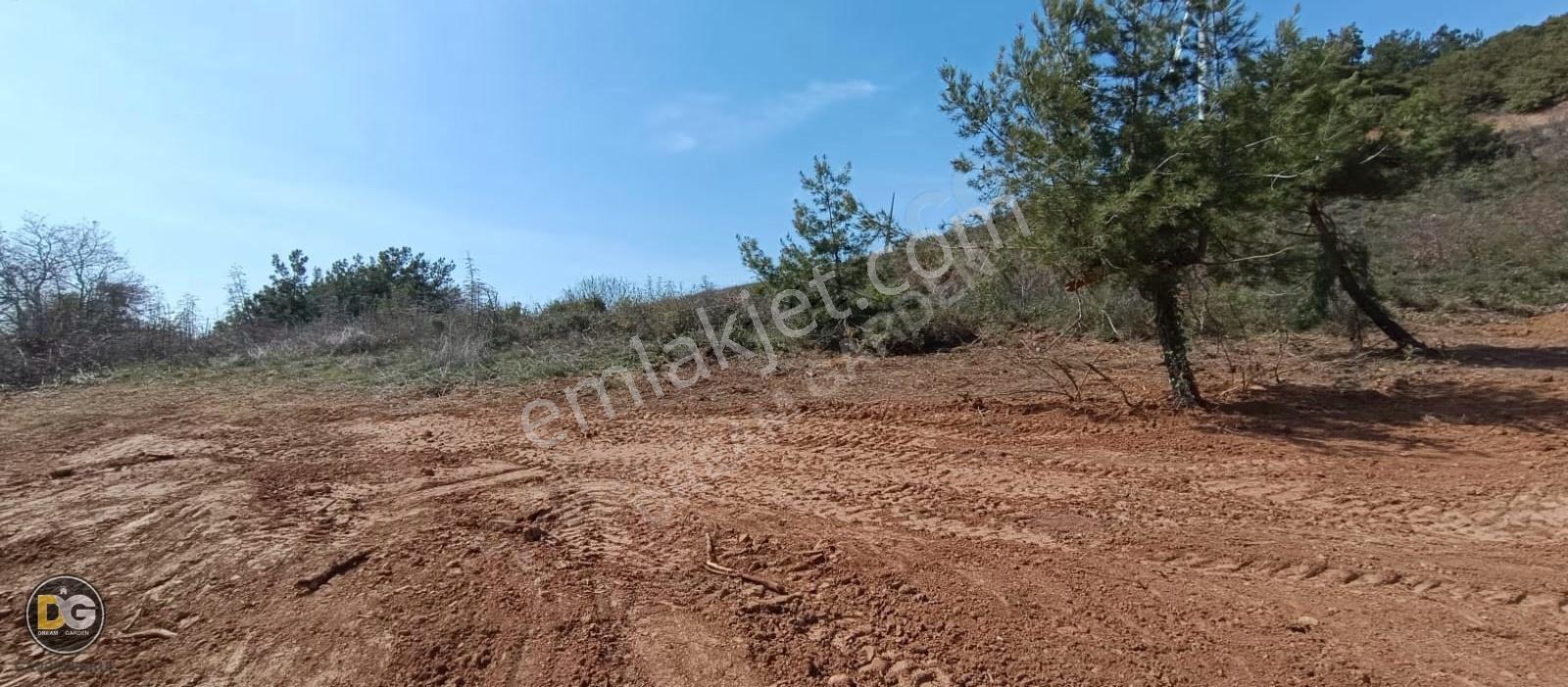 Bursa - Osmangazi - Gündoğdu Bursa Manzaralı Hobi Bahçesi - Görsel 6