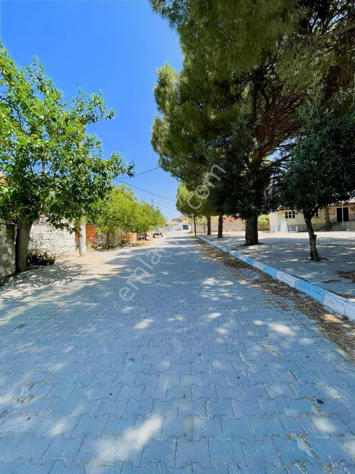 Turpa Özka 355 | Doğa İçinde, Şakran Yakını 241 M² - Görsel 5