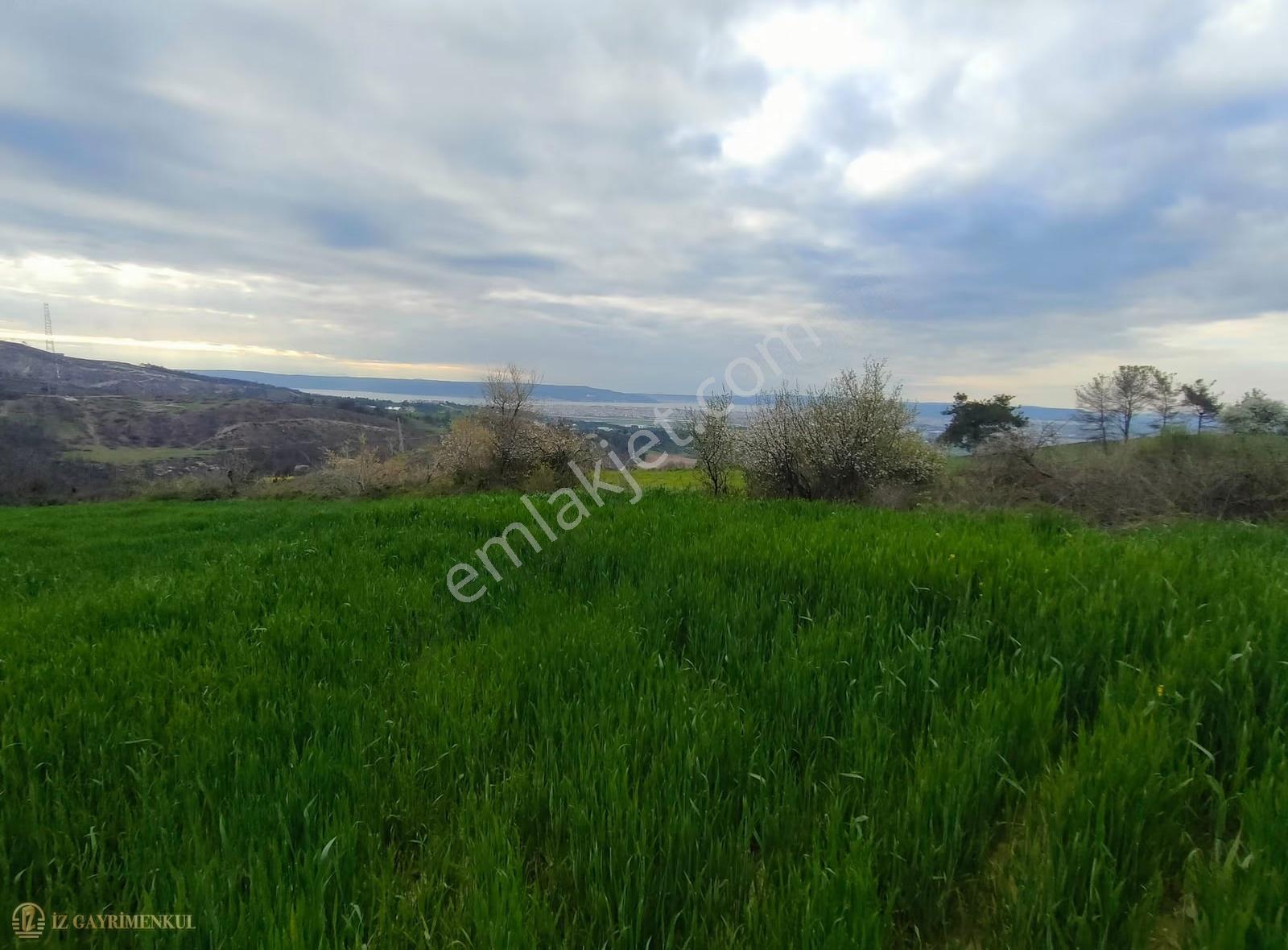 Çanakkale Merkez Sarıcaeli Köyünde Satılık Tarla