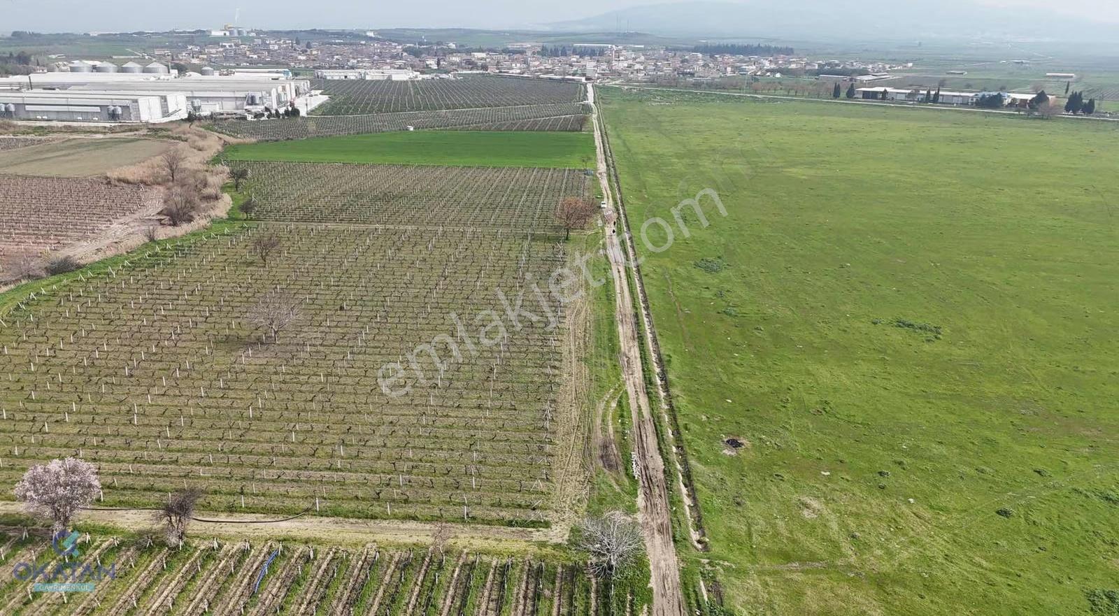 Mütevellide Yatırımlık Aradığınız Tarla - Görsel 2