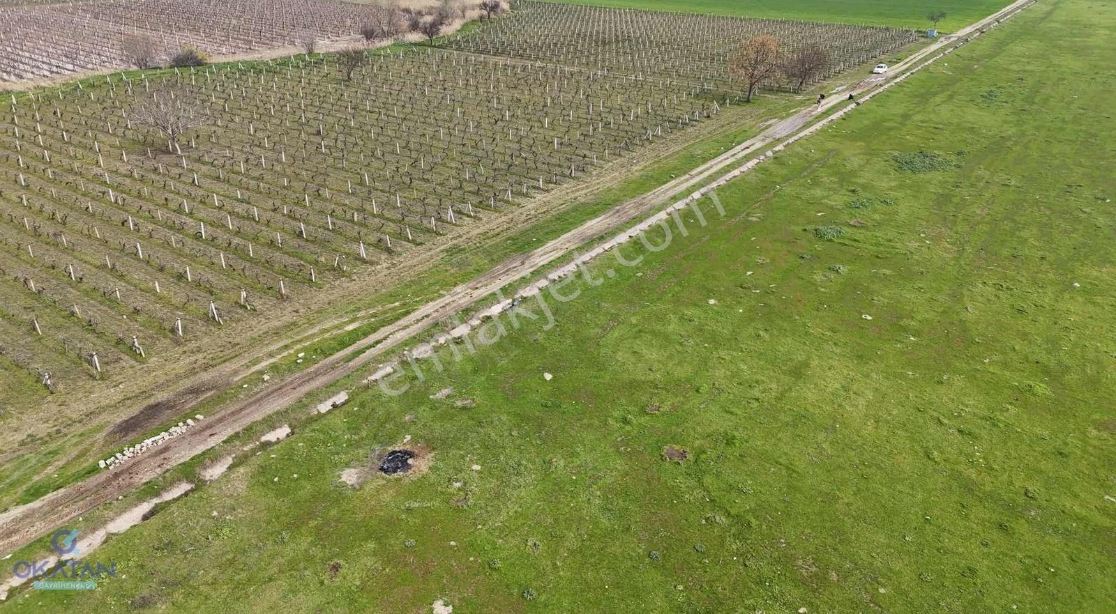 Mütevellide Yatırımlık Aradığınız Tarla - Görsel 13
