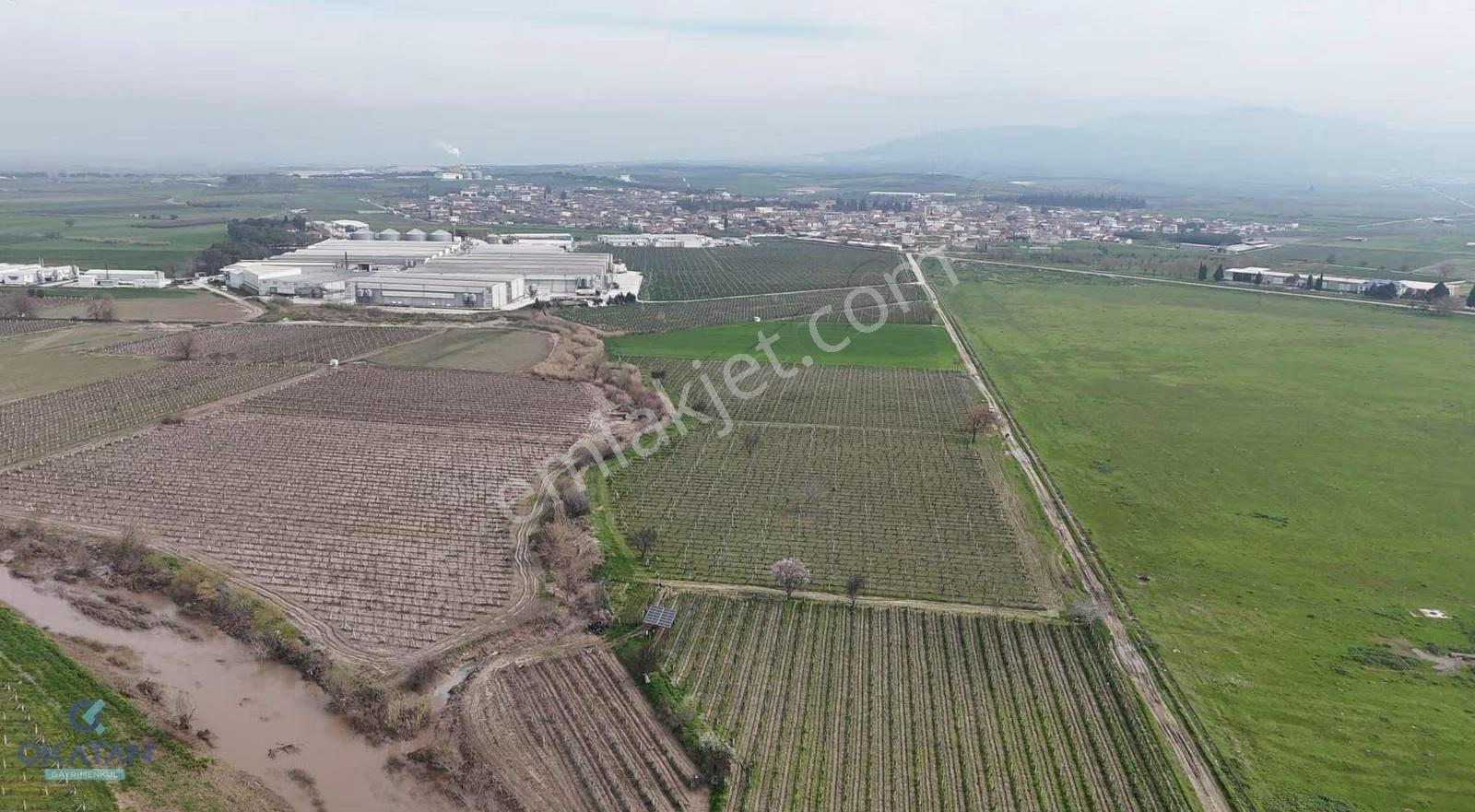 Mütevellide Yatırımlık Aradığınız Tarla - Görsel 9