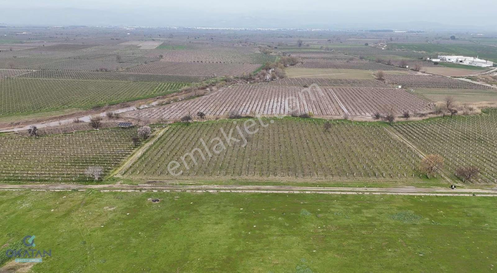 Mütevellide Yatırımlık Aradığınız Tarla - Görsel 11