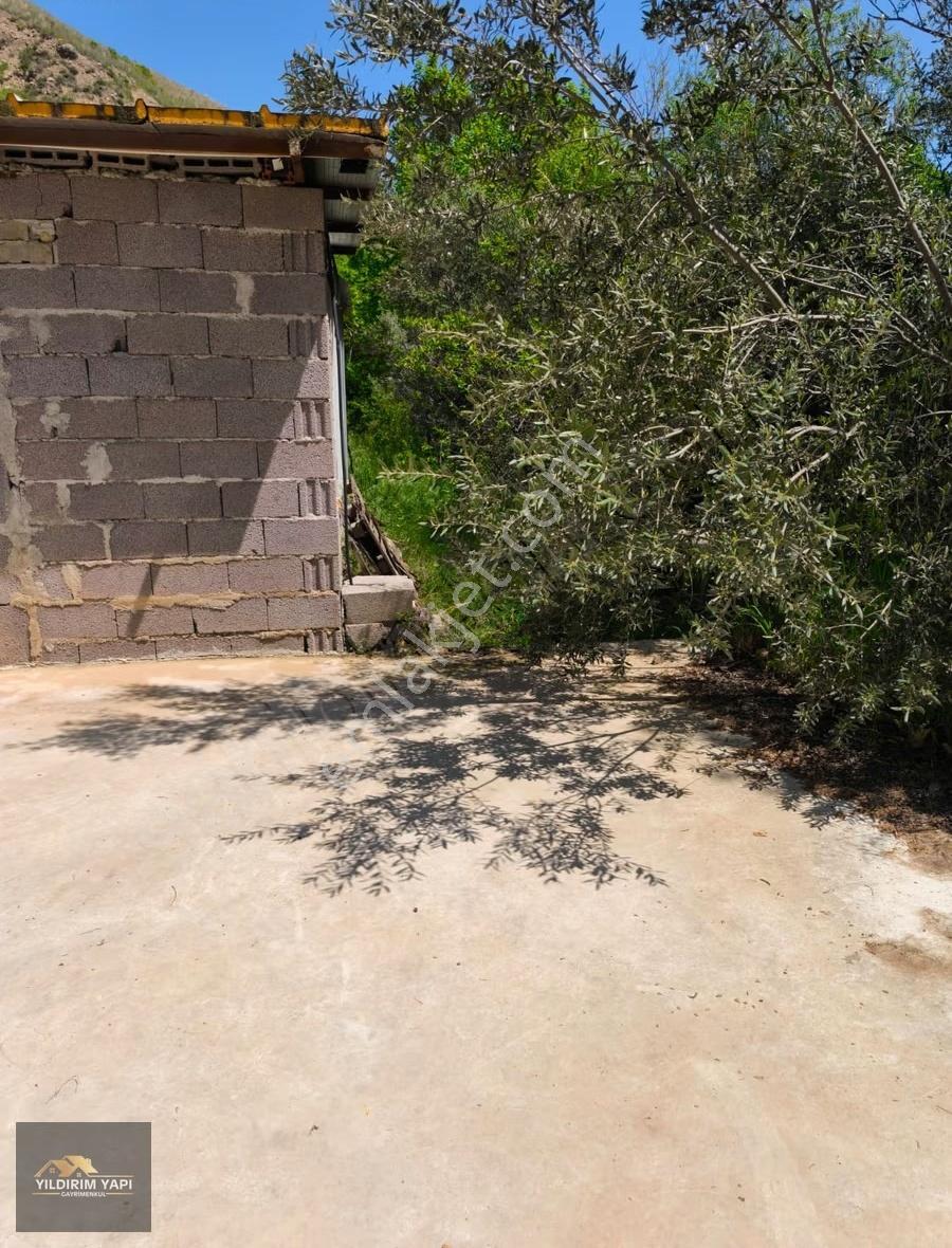 Merkeze 10 Dakika Mesafede Çay Kenarında 2.424 M² Hobi Bahçesi - Görsel 3