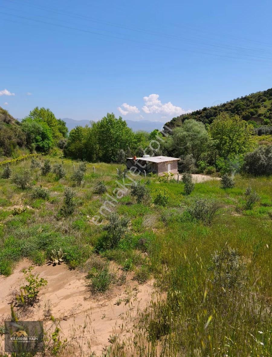 Merkeze 10 Dakika Mesafede Çay Kenarında 2.424 M² Hobi Bahçesi