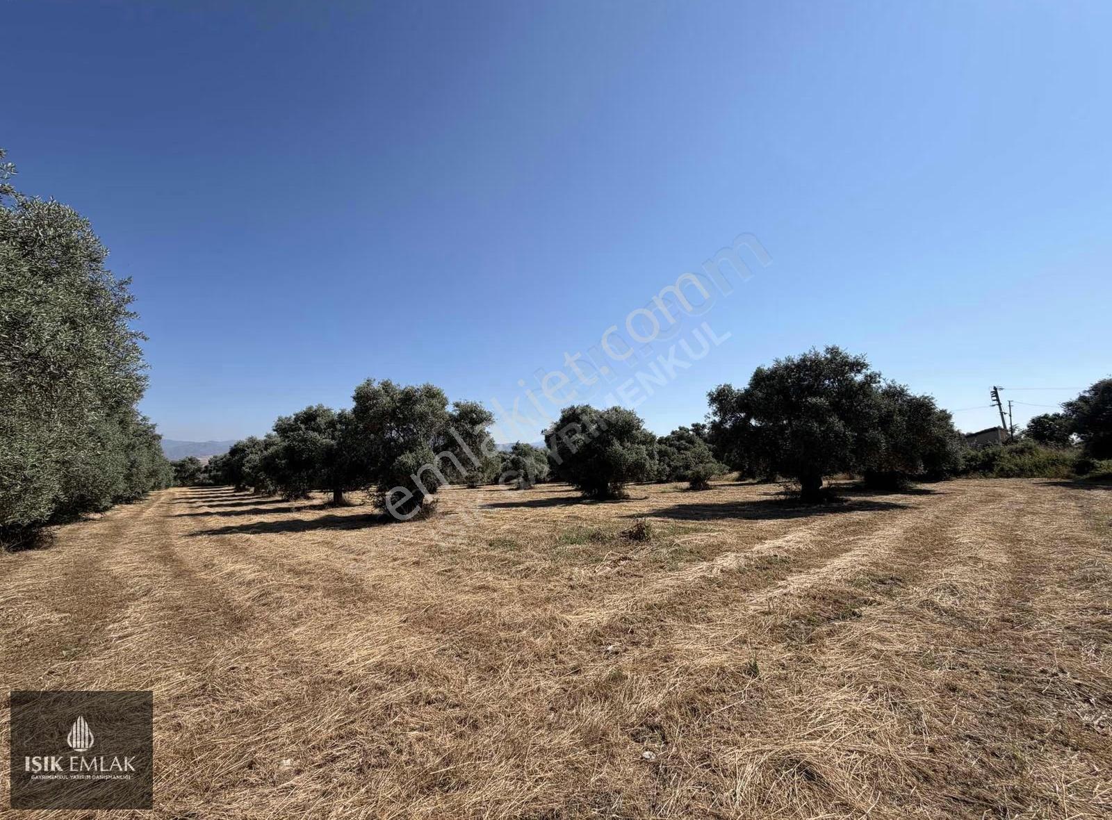 Işık Gayrimenkul'den Satılık Çevreyolu Cepheli 4515 M2 Arsa - Görsel 4