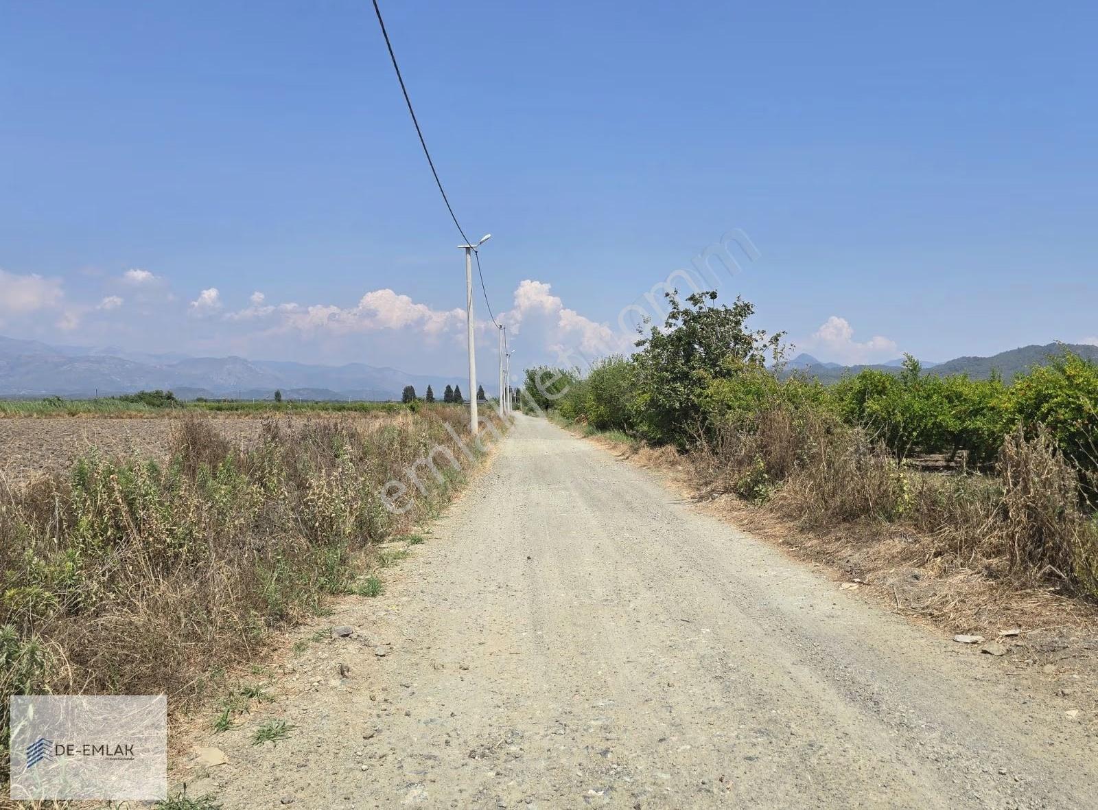 Köyceğiz Gölü'ne Çok Yakın 16.500 M² Müstakil Tapulu Tarla - Görsel 14