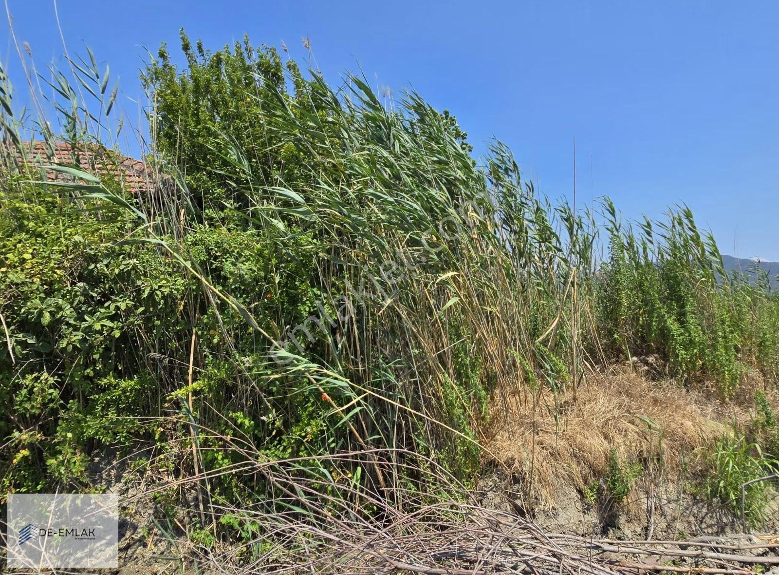 Köyceğiz Gölü'ne Çok Yakın 16.500 M² Müstakil Tapulu Tarla - Görsel 27