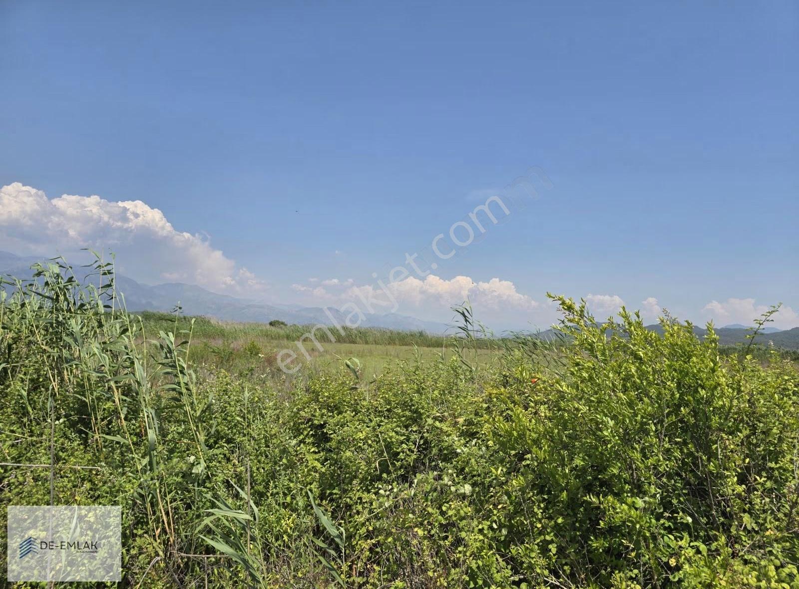 Köyceğiz Gölü'ne Çok Yakın 16.500 M² Müstakil Tapulu Tarla - Görsel 16