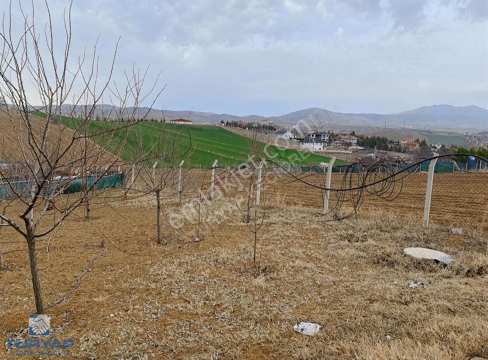 Sirkeli'de Tapulu Elektirik Su Bağlı 60m² Ev 1000m²hobi Bahçesi - Görsel 24