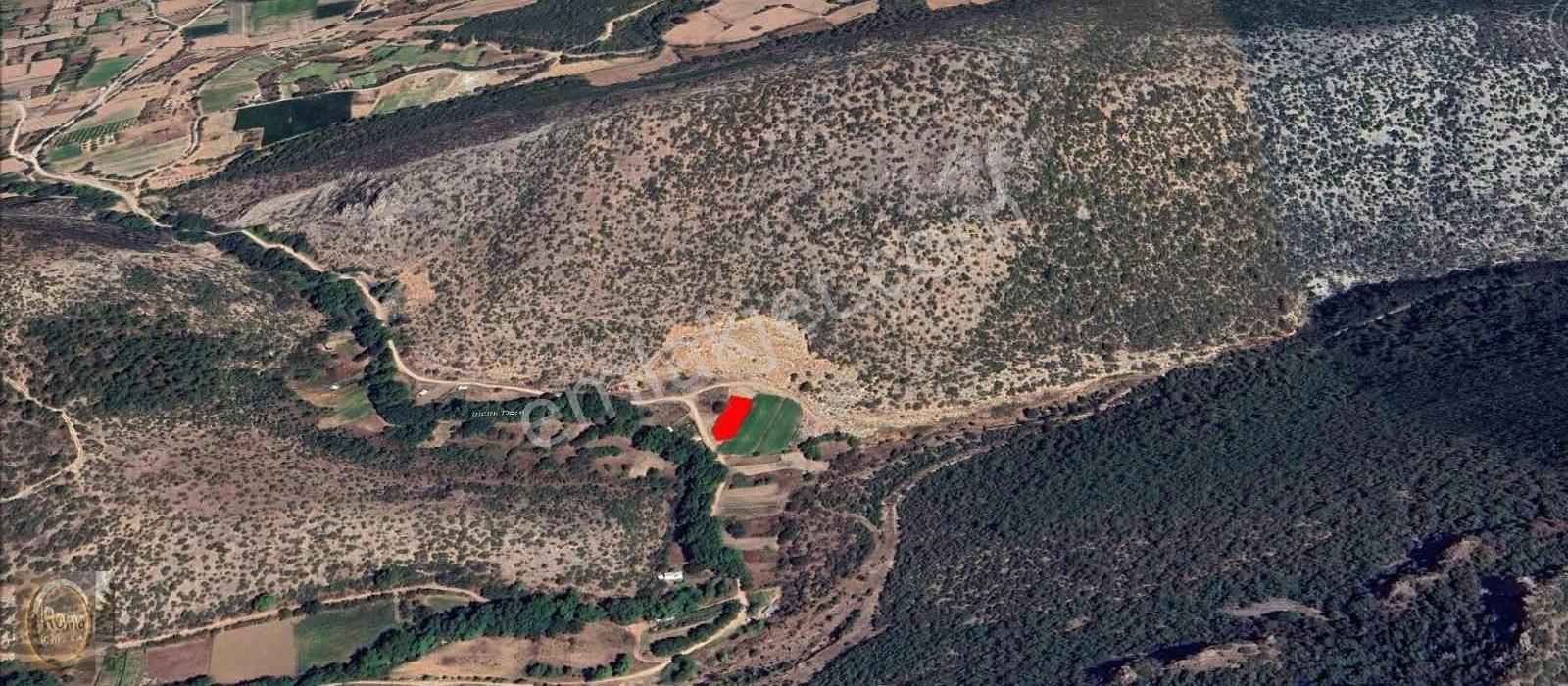 Roma' Dan İncirli Köyünde Satılık Bahçe - Görsel 2