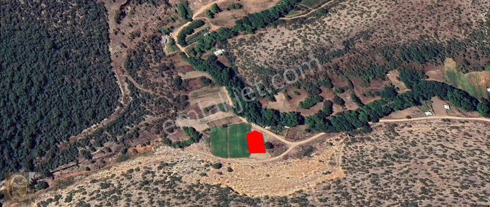 Roma' Dan İncirli Köyünde Satılık Bahçe - Görsel 3