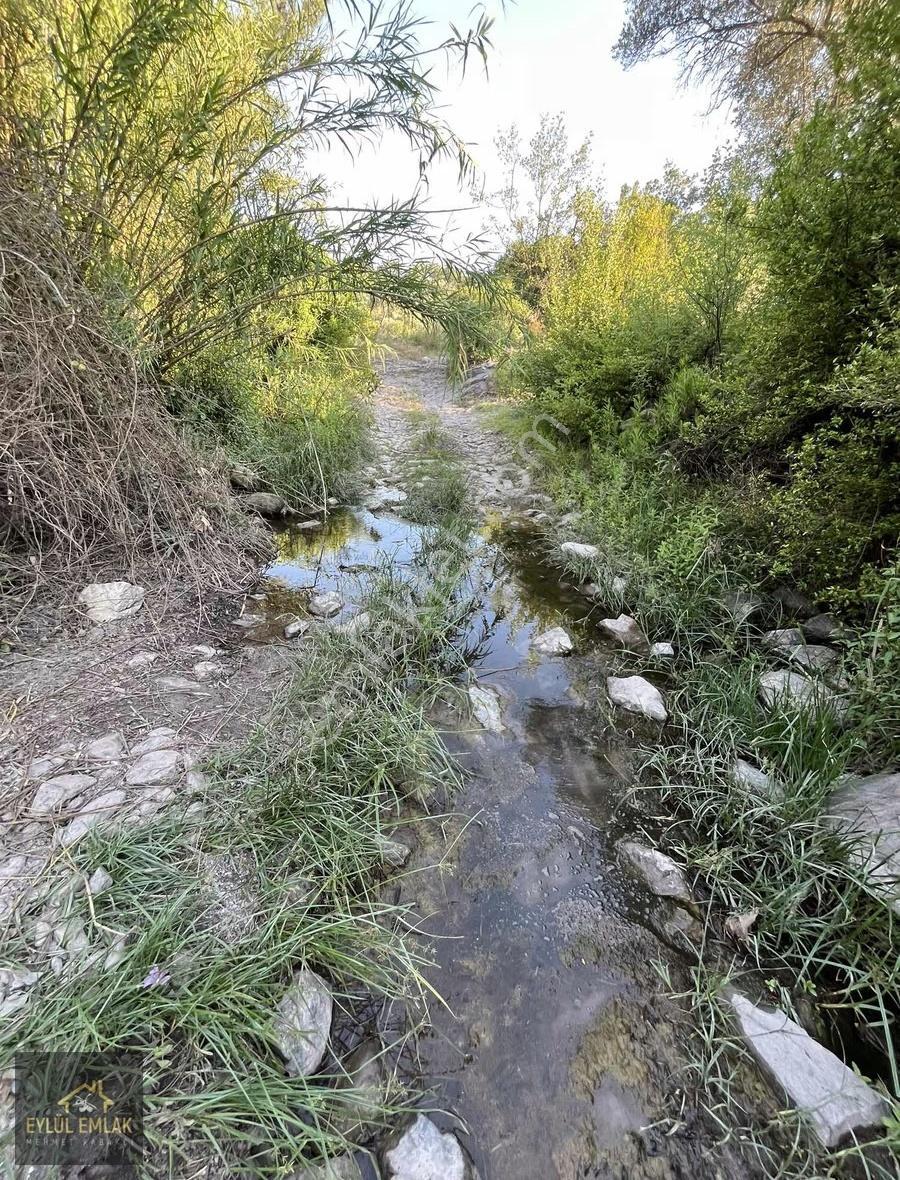 Milas Kısırlar Mahallesi'nde 1.600 Metre² Satılık Tarla - Görsel 4