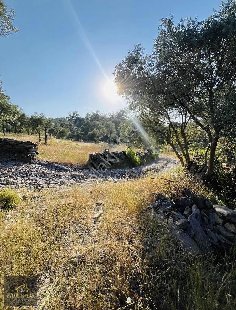 Milas Kısırlar Mahallesi'nde 1.600 Metre² Satılık Tarla - Görsel 8