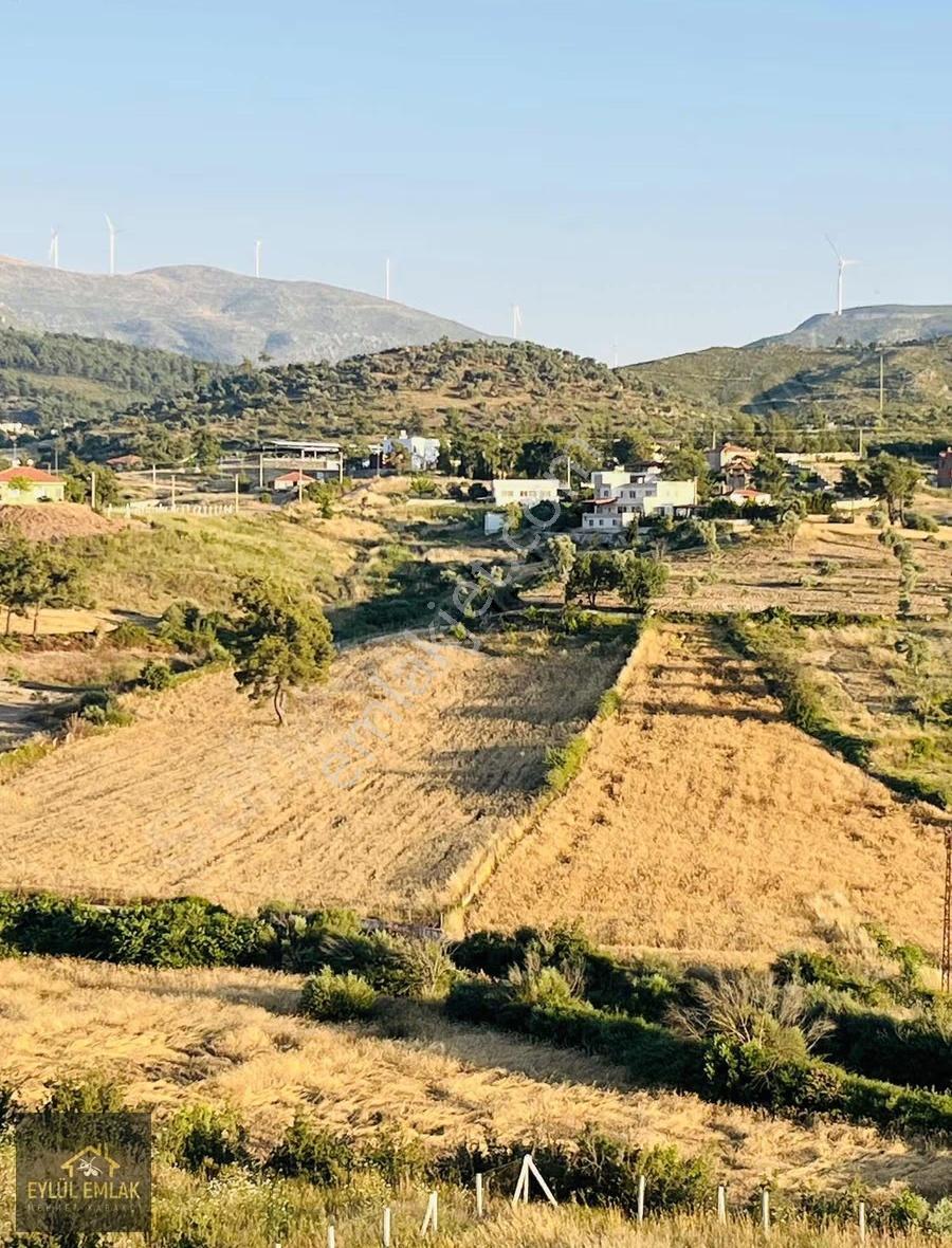 Beyciler Mahallesinde Satılık Tarla