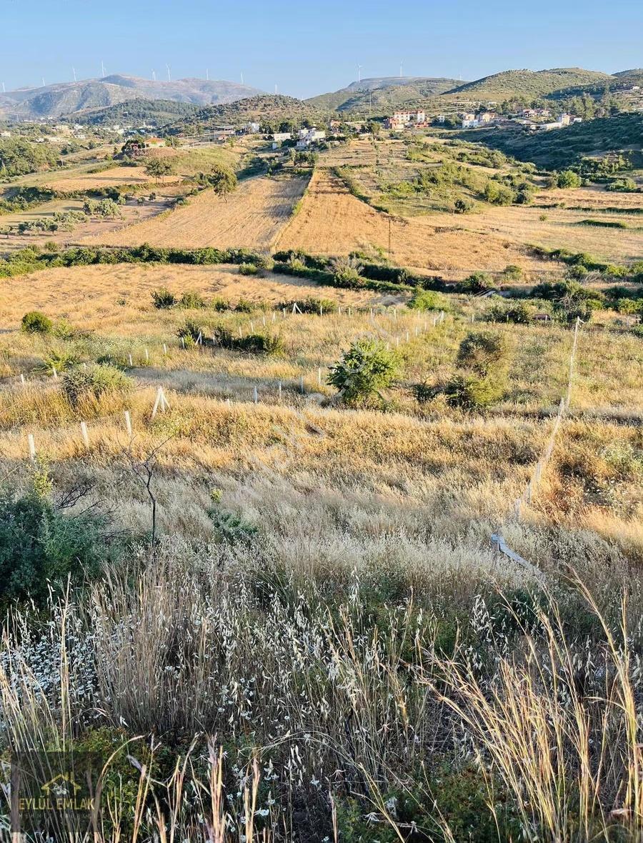 Beyciler Mahallesinde Satılık Tarla - Görsel 15