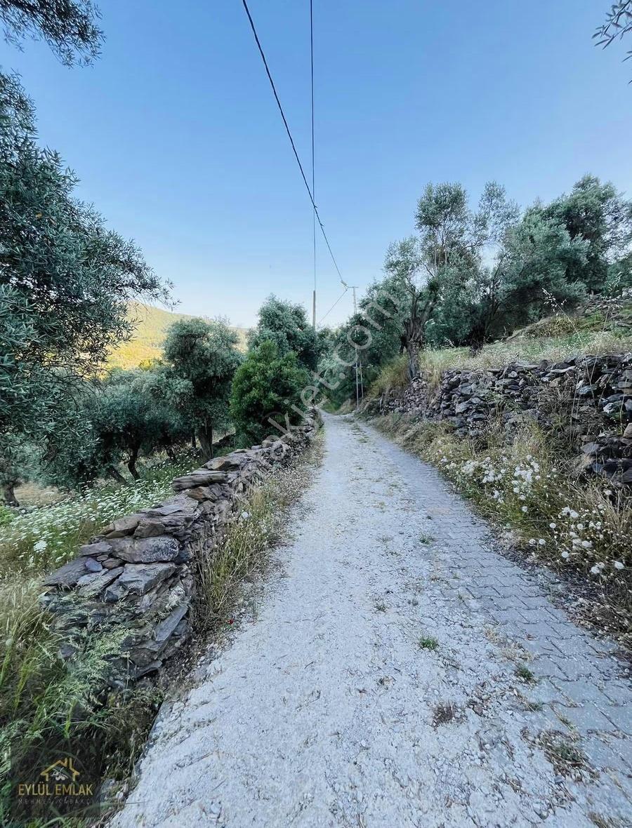 Milas Balcılarda Satılık Arsa - Görsel 11