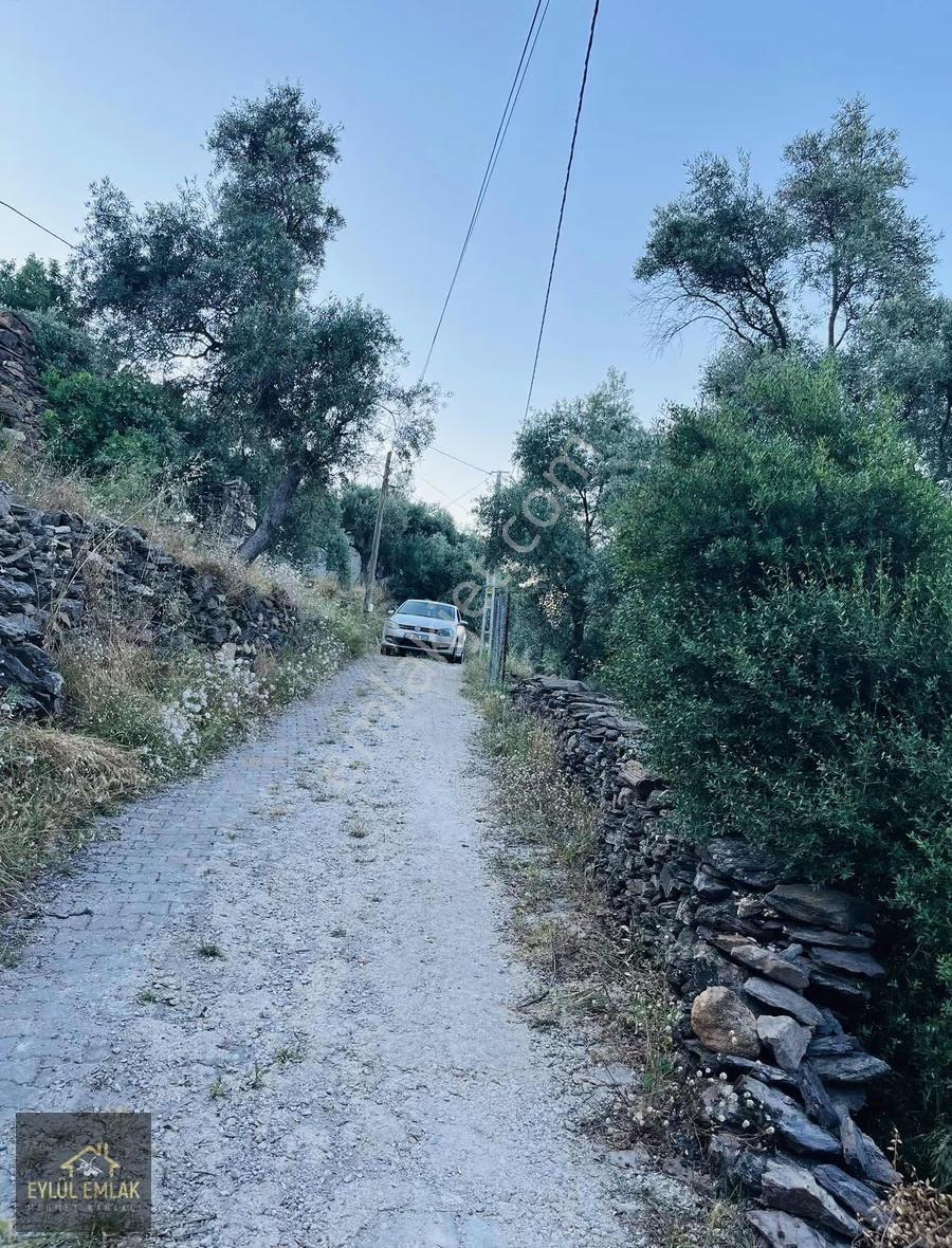 Milas Balcılarda Satılık Arsa - Görsel 13
